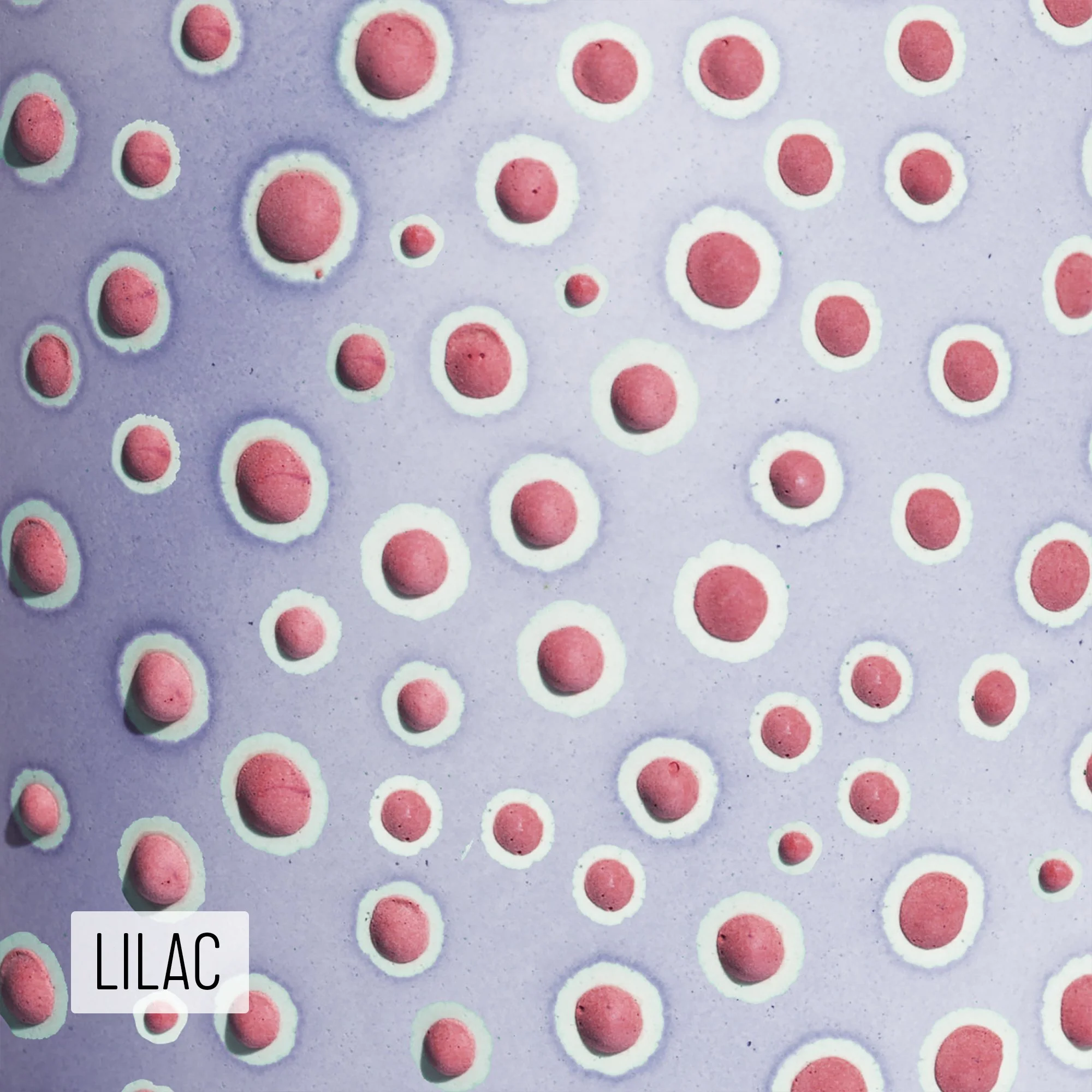 Microbe Colorway_Lilac_Caption.jpg