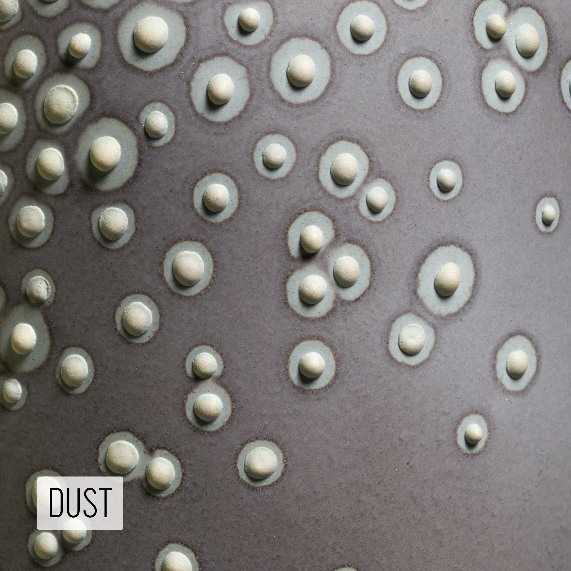 Microbe Colorway_Dust_Caption.jpg