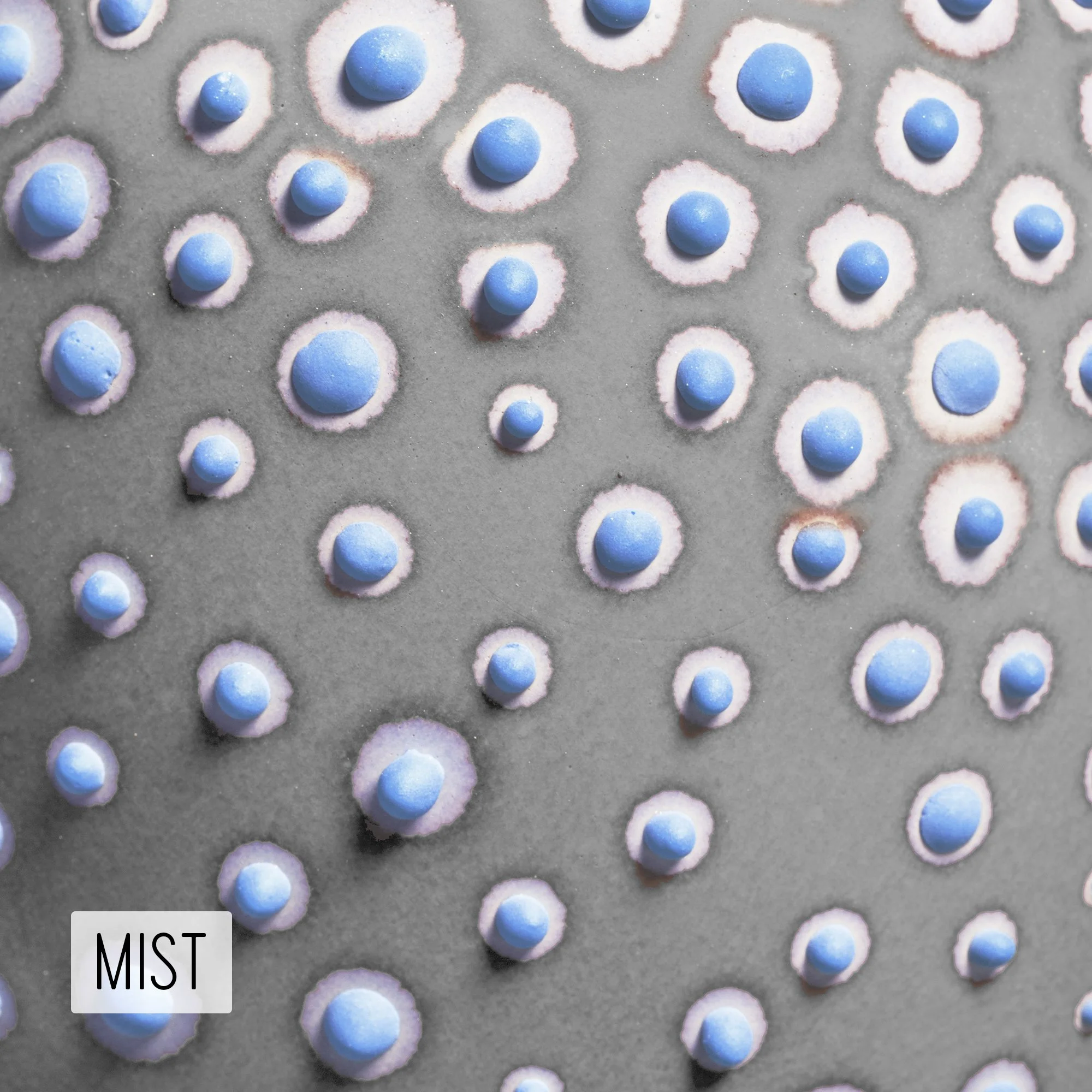 Microbe Colorway_Mist_Caption.jpg