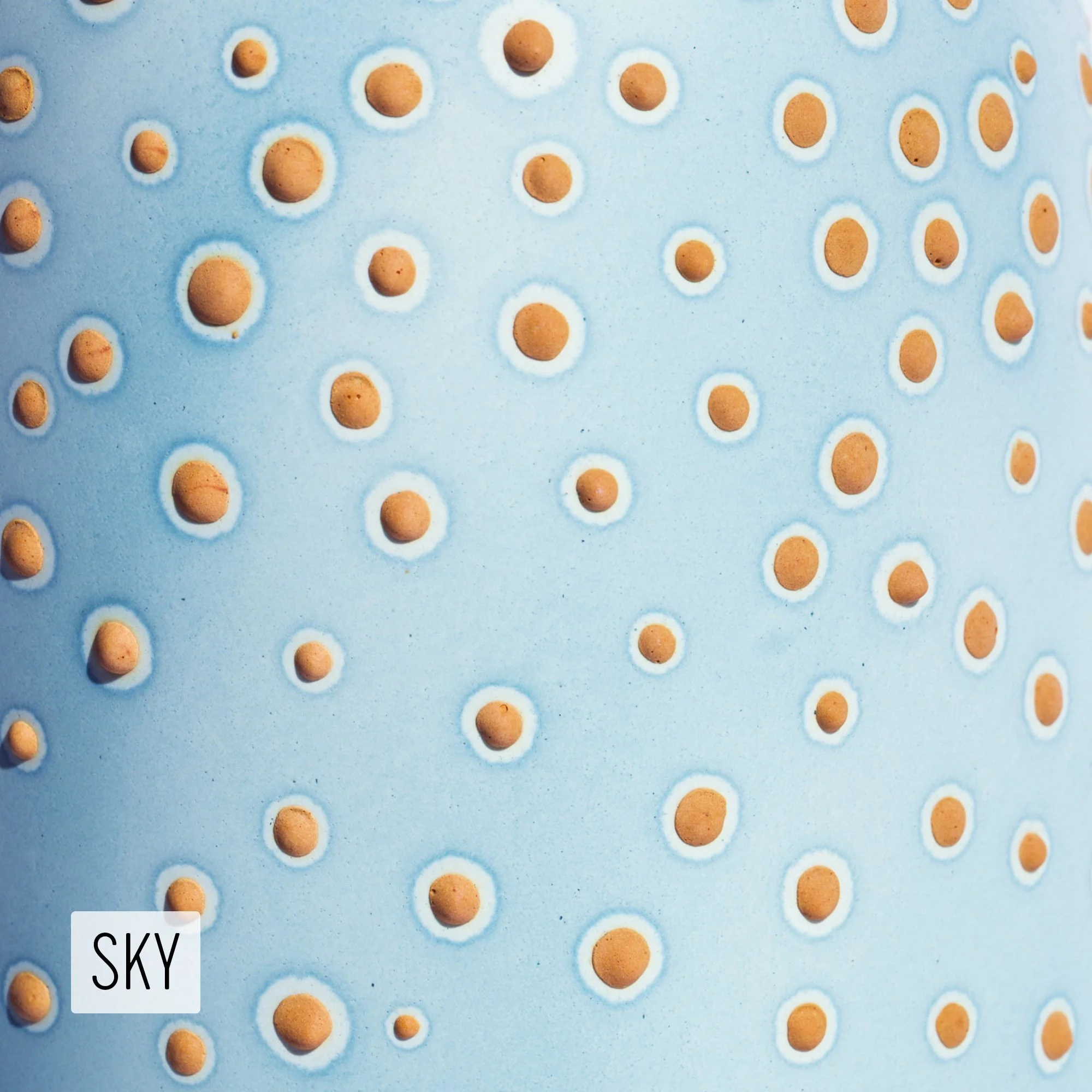 Microbe Colorway_Sky_Caption.jpeg