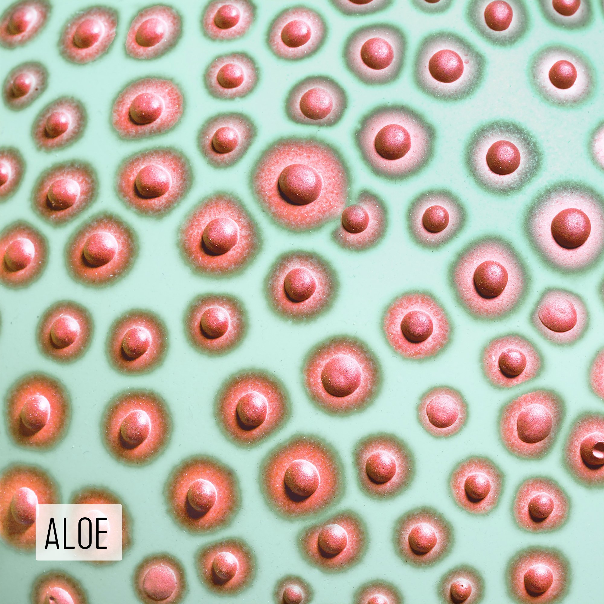Microbe Colorway_Aloe_Caption.jpg