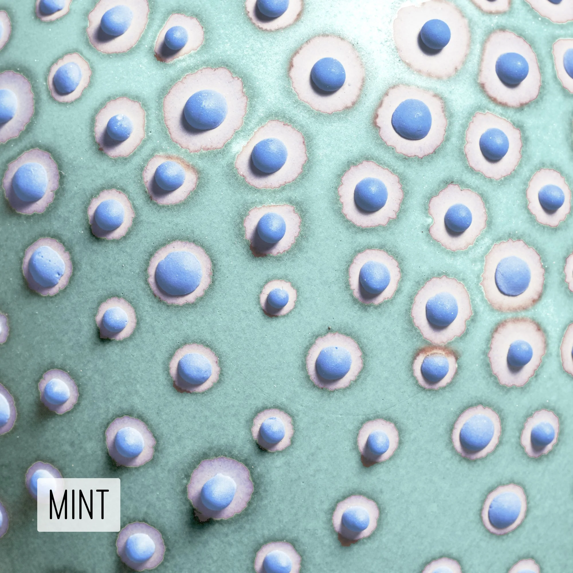 Microbe Colorway_QMint_Caption.jpg