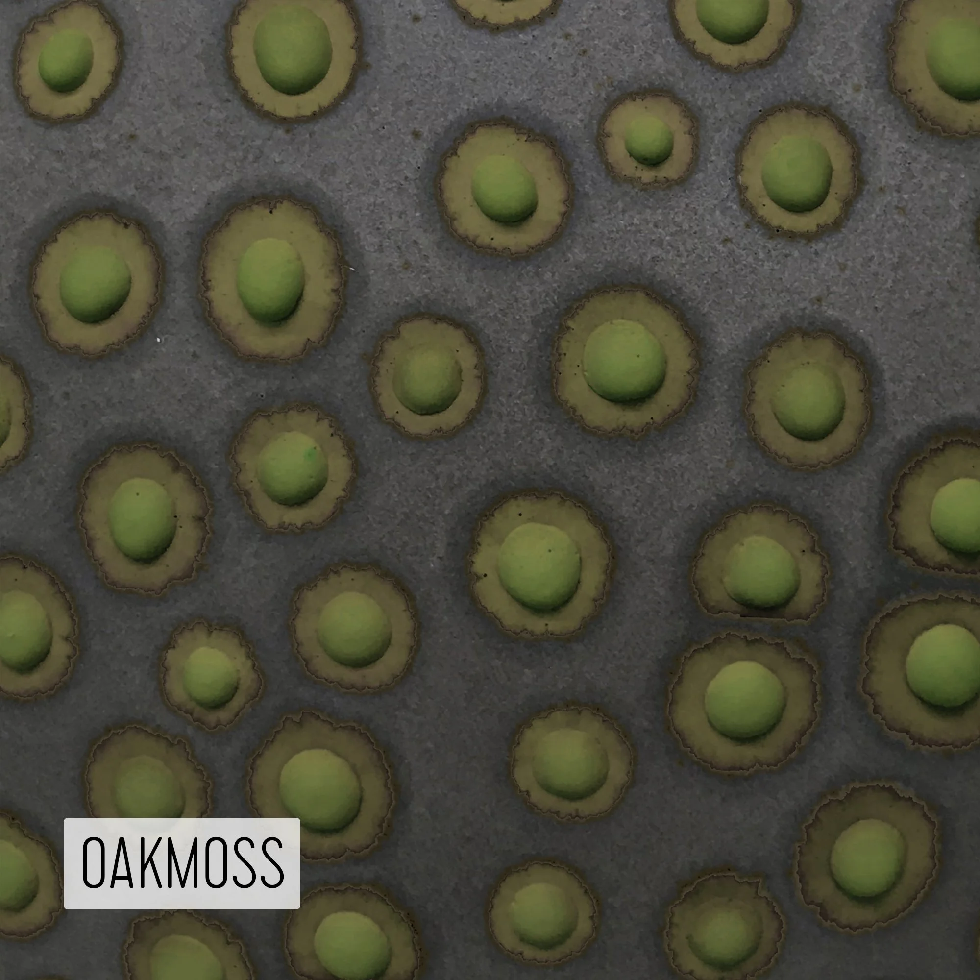 Microbe Colorway_Oakmoss_Caption.jpg