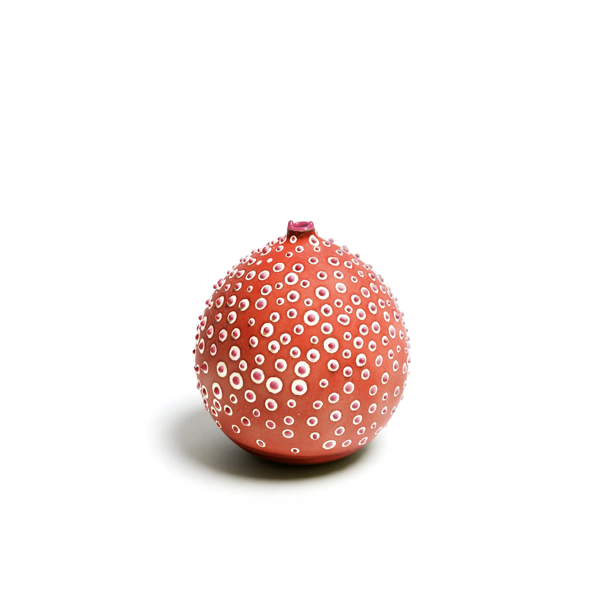 Petri_Rosehip_1_web.jpg