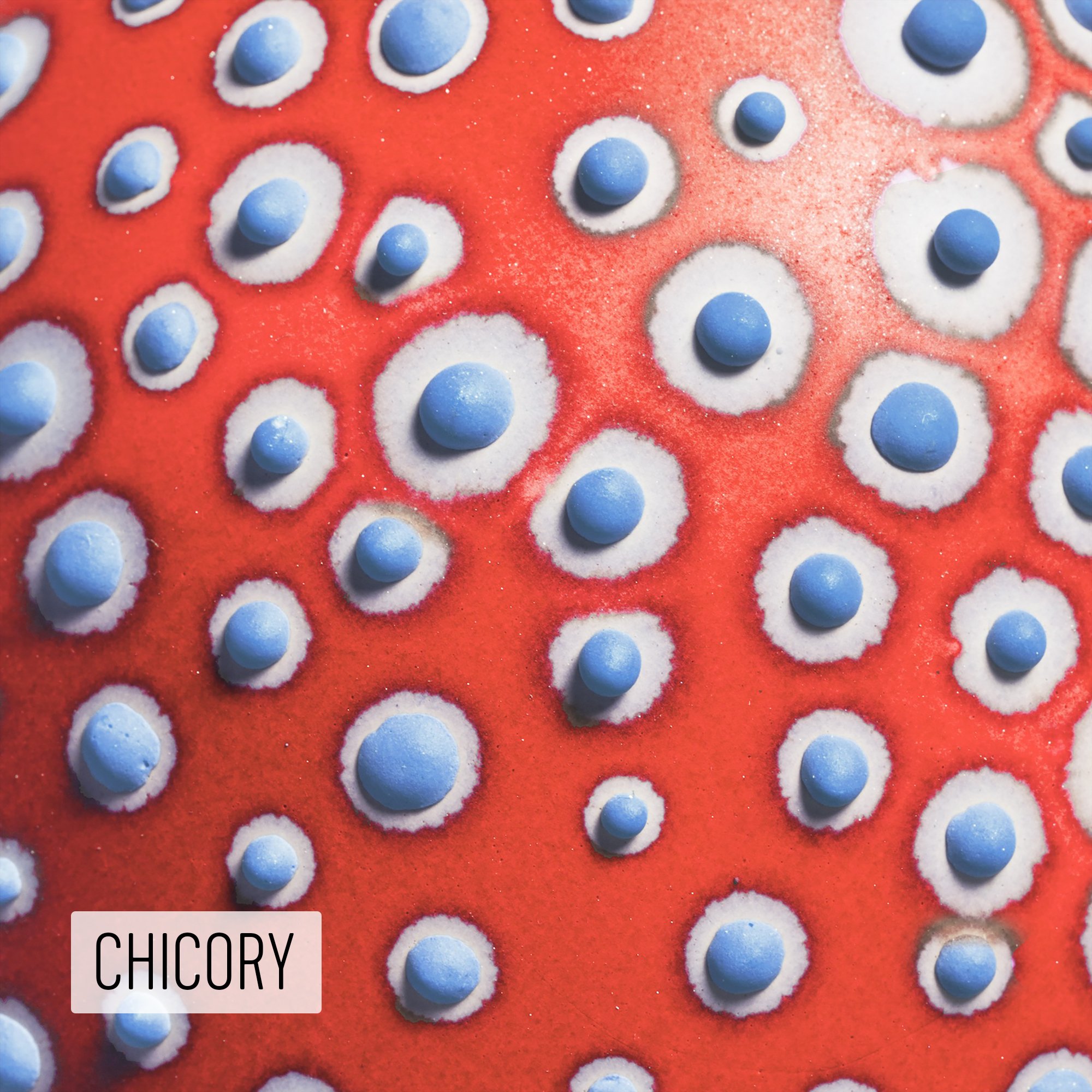 Microbe Colorway_Chicory_Caption.jpeg