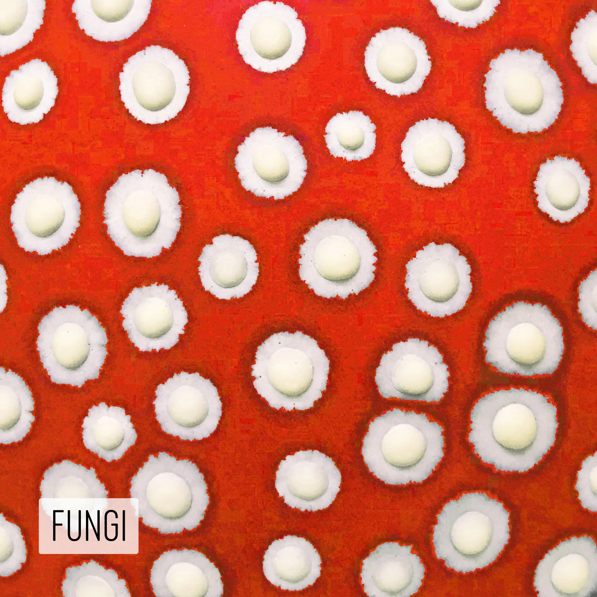Microbe Colorway_Fungi_Caption.jpg