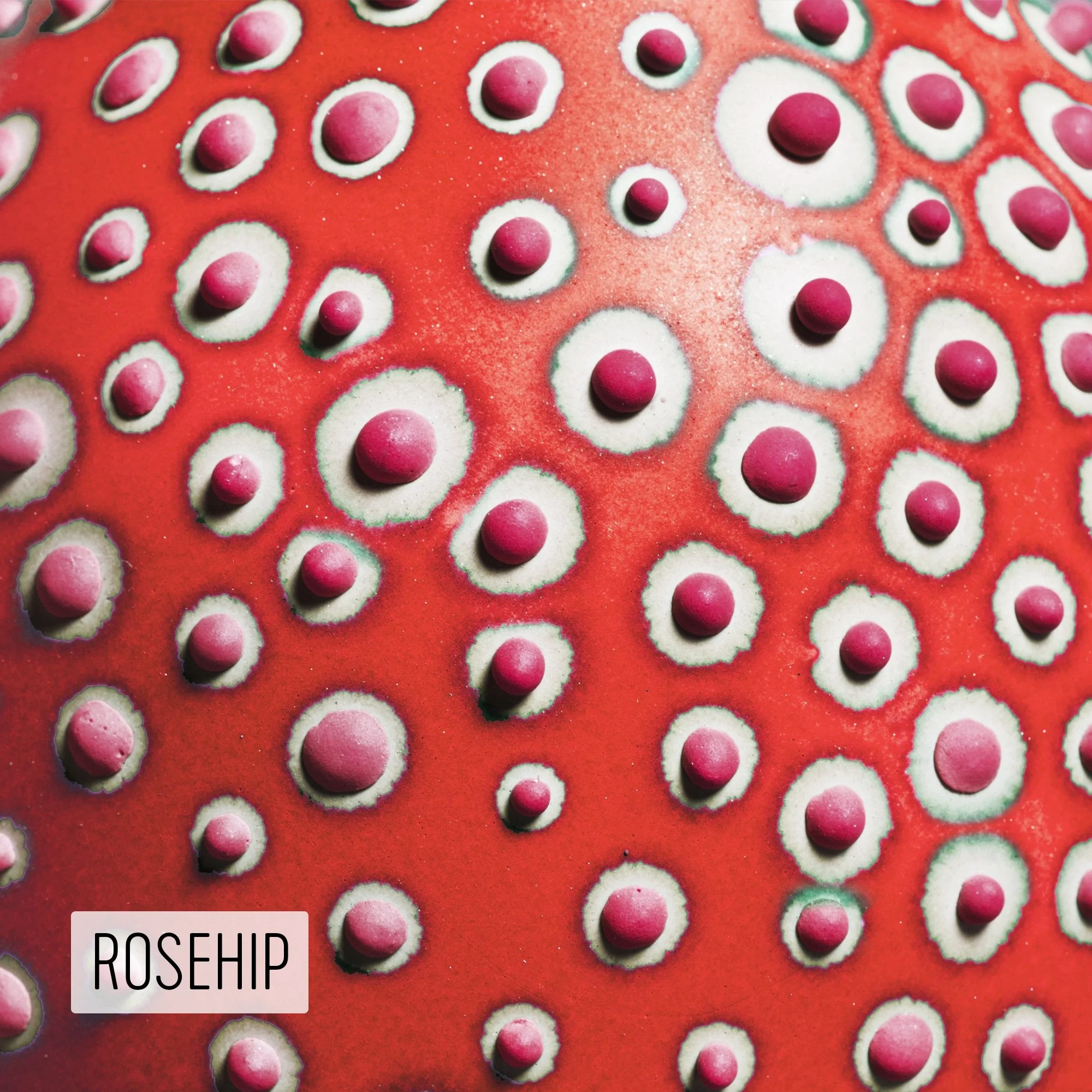 Microbe Colorway_Rosehip_Caption.jpeg