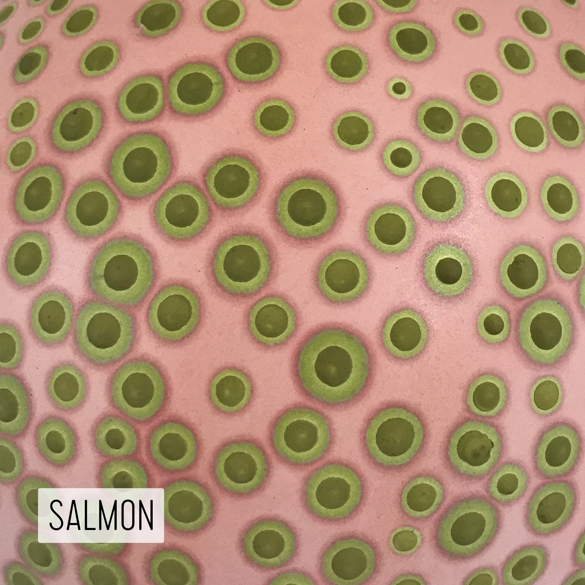 Microbe Colorway_Salmon_Caption.jpg