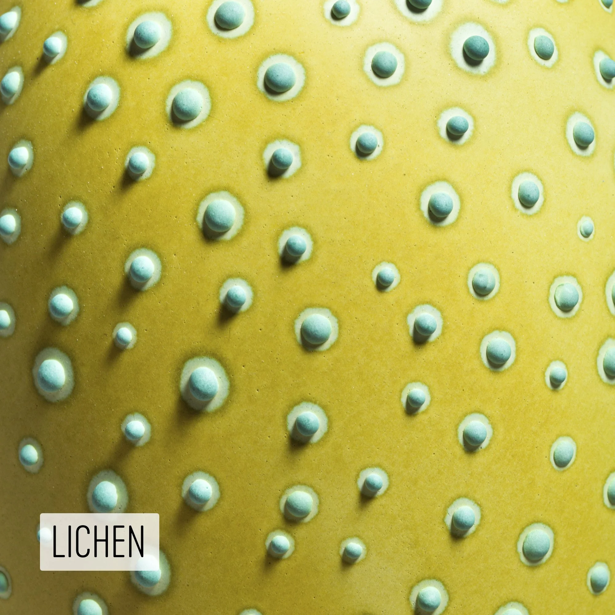 Microbe Colorway_Lichen_Caption.jpg