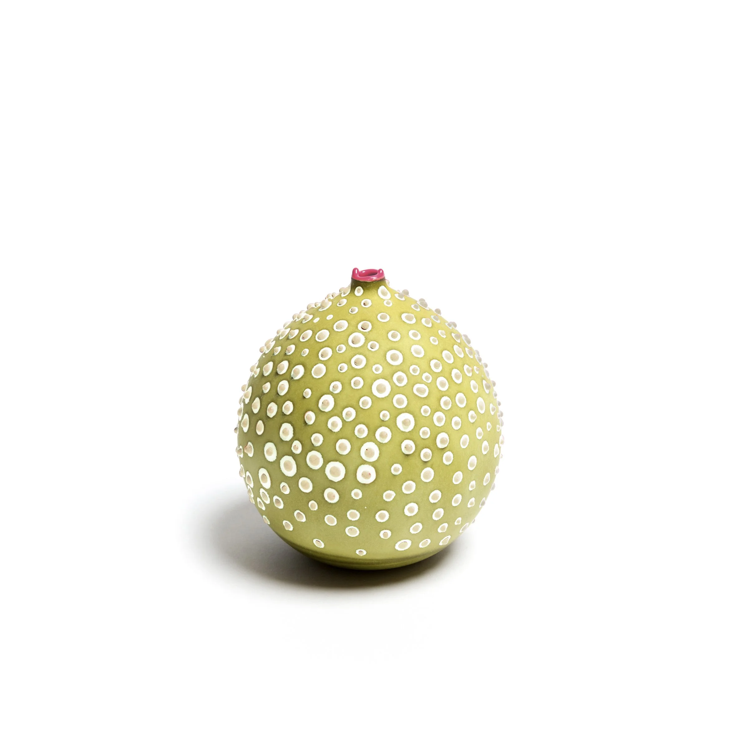 Petri_Avocado_1_web.jpg