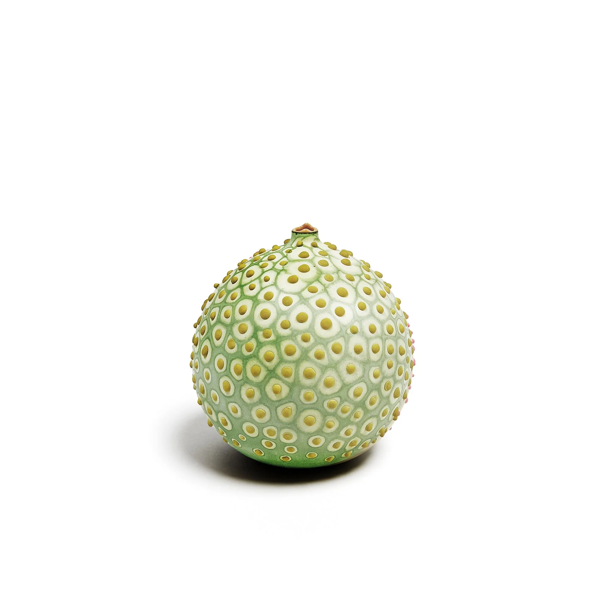 Petri_Pickle_1_web.jpg