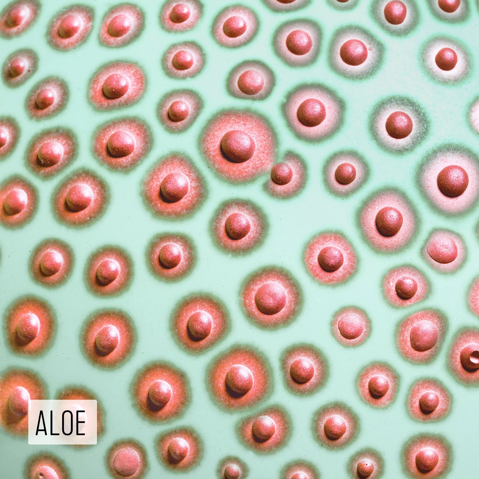 Microbe Colorway_Aloe_Caption.jpg