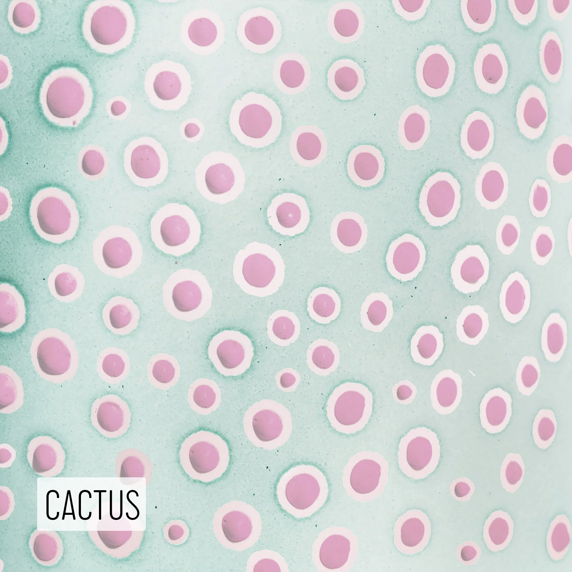 Microbe Colorway_Cactus_Caption.jpg