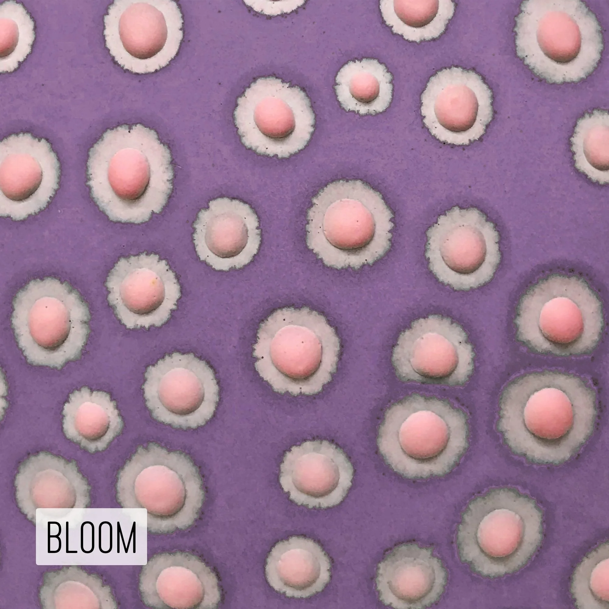 Microbe Colorway_Bloom_Caption.jpg