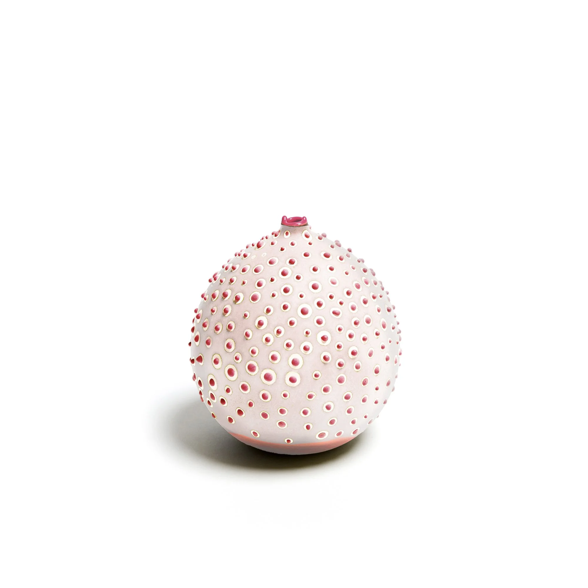 Petri_Petal_1_web.jpg