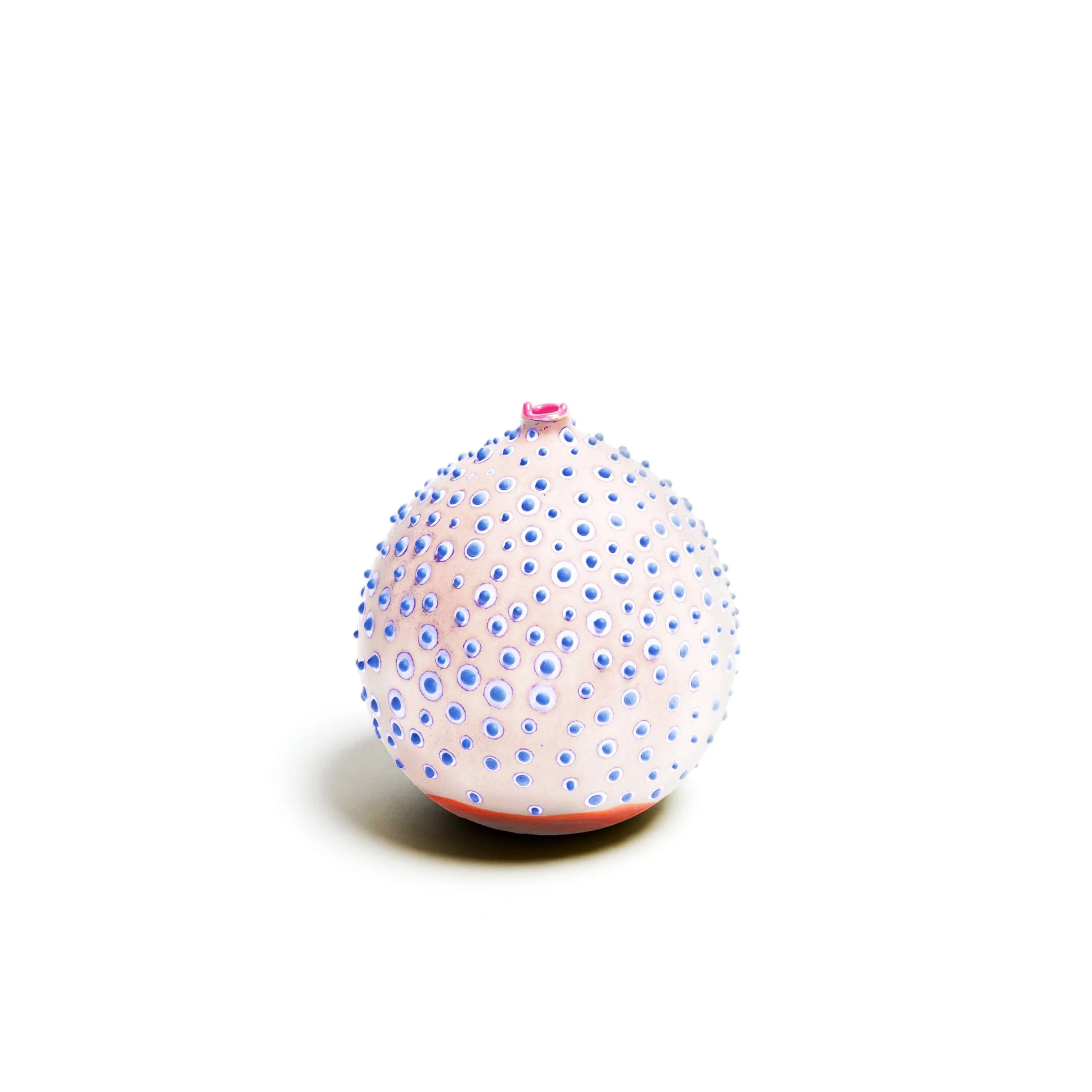 Petri_Blossom_1_web.jpg