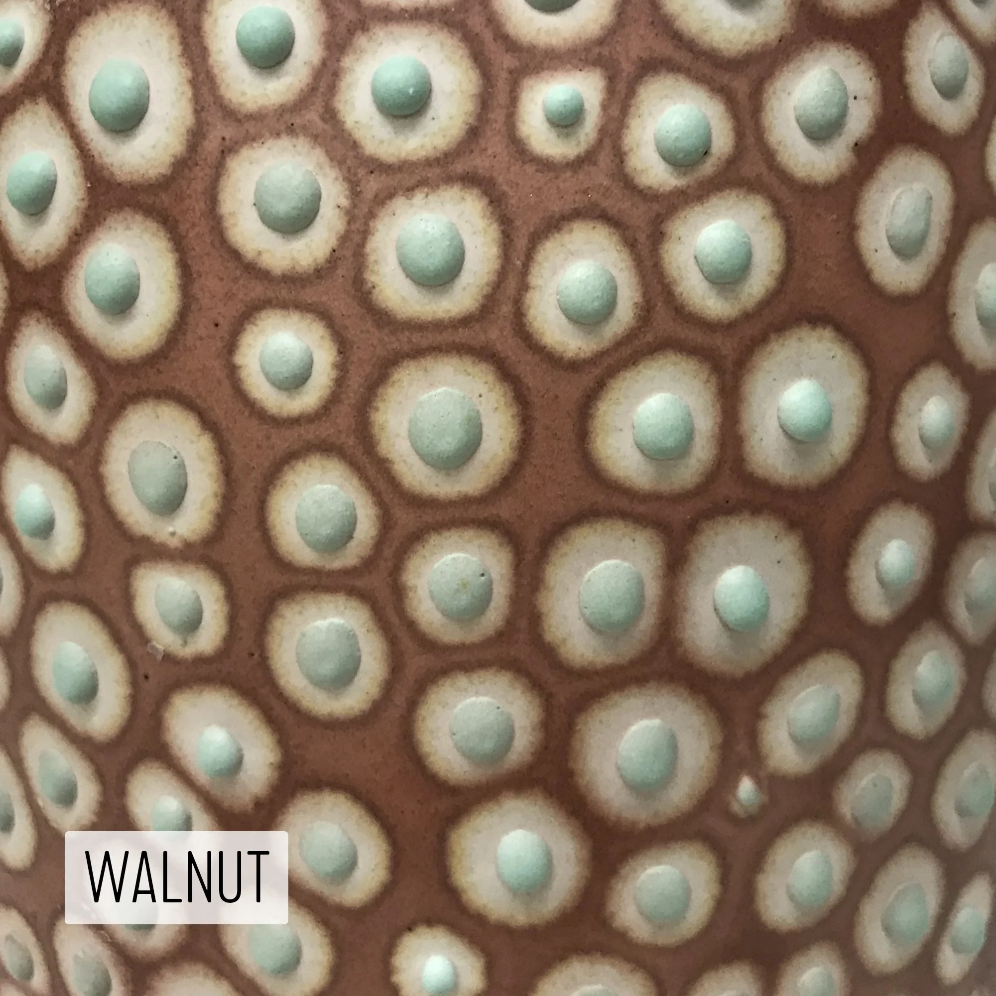 Microbe Colorway_Walnut_Caption.jpg