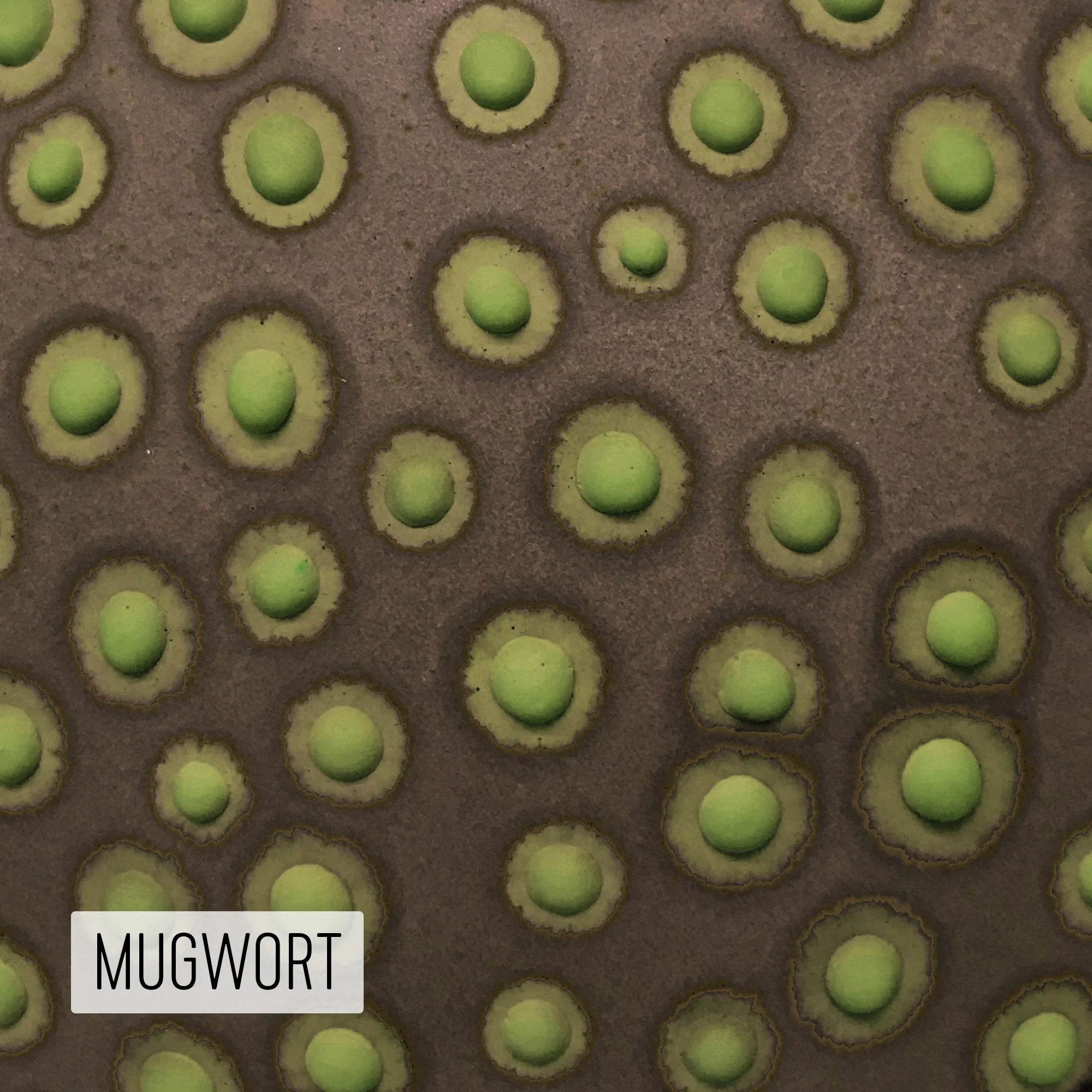Microbe Colorway_Mugwort_Caption.jpg