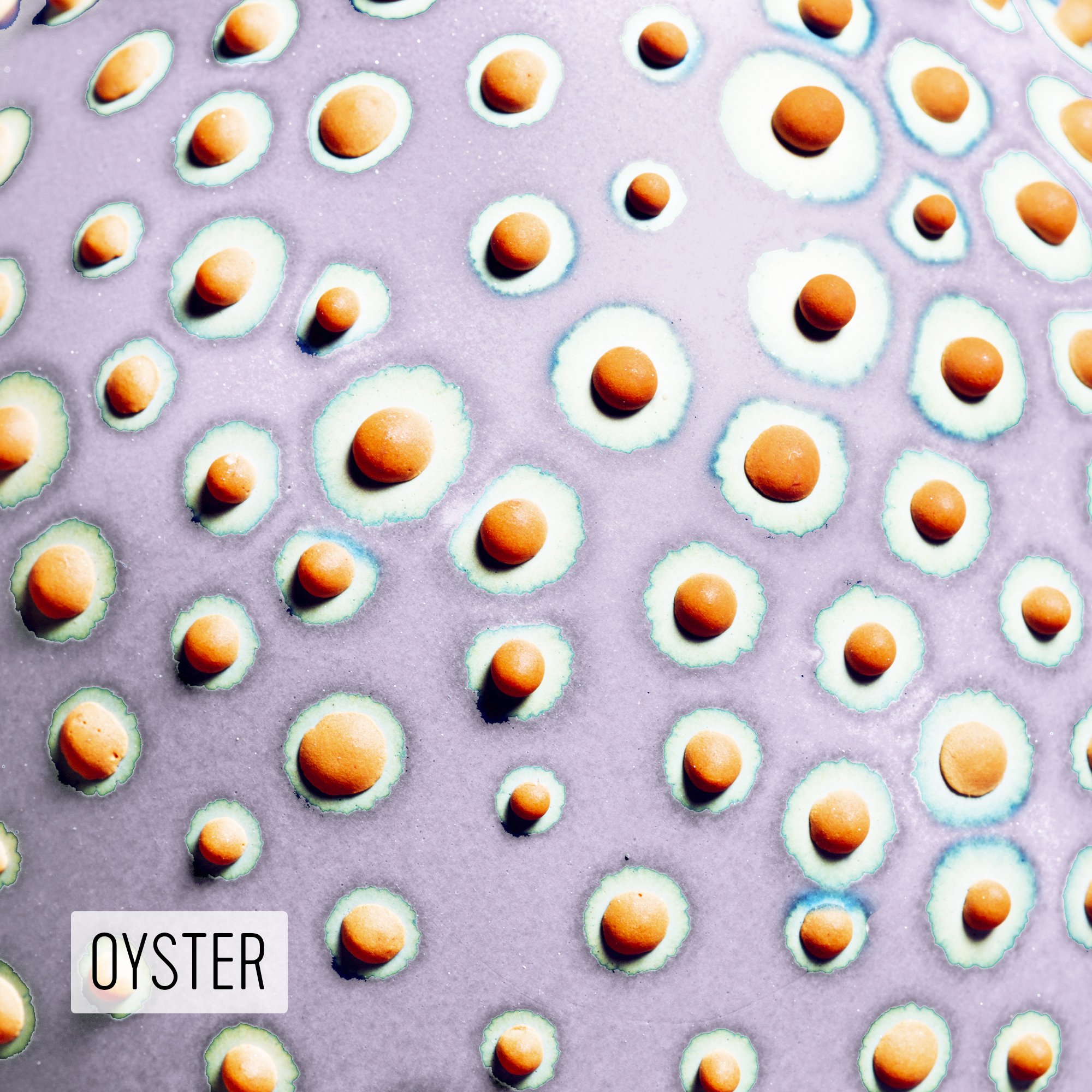 Microbe Colorway_Oyster_Caption.jpg