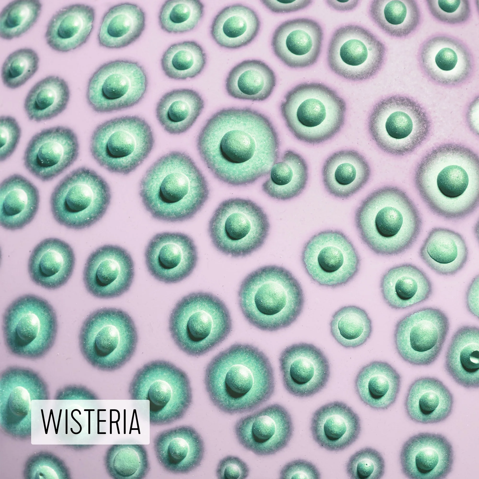 Microbe Colorway_Wisteria_Caption.jpeg