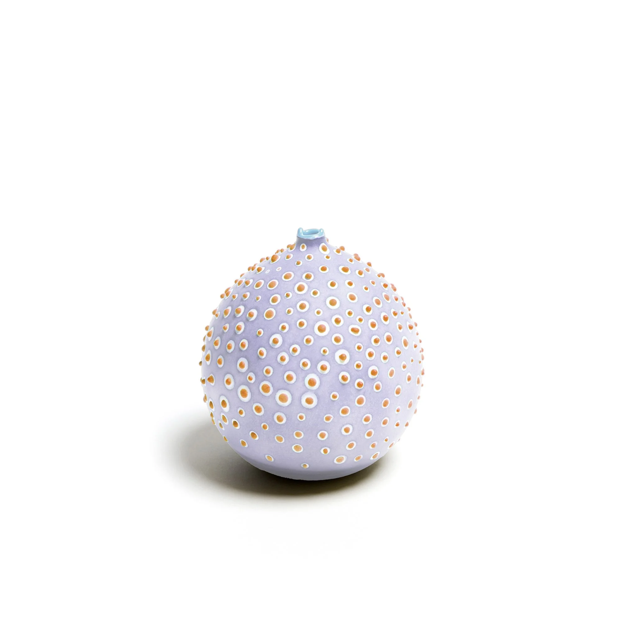 Petri_Oyster_1_web.jpg