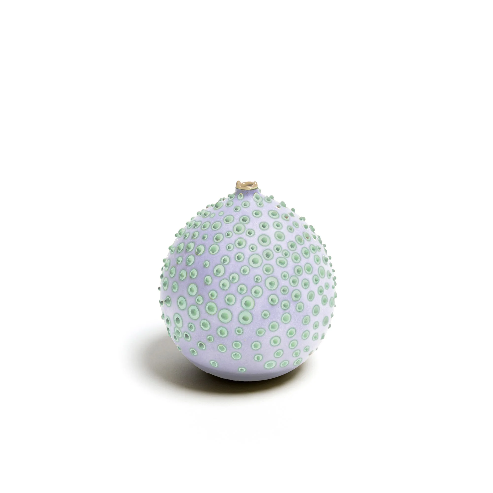 Petri_Wisteria_1_web.jpg