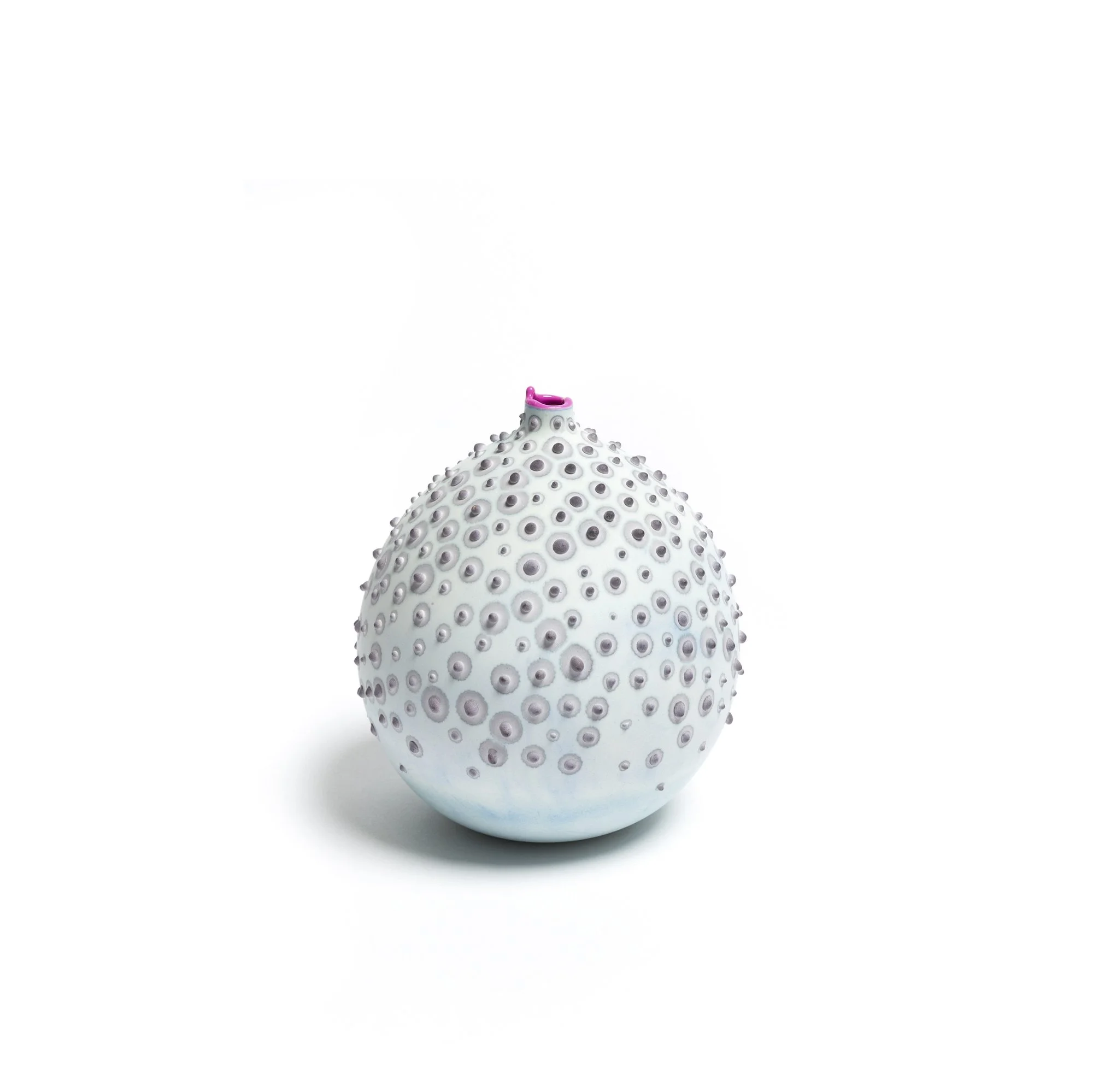 Petri_Ice_1 copy.jpeg