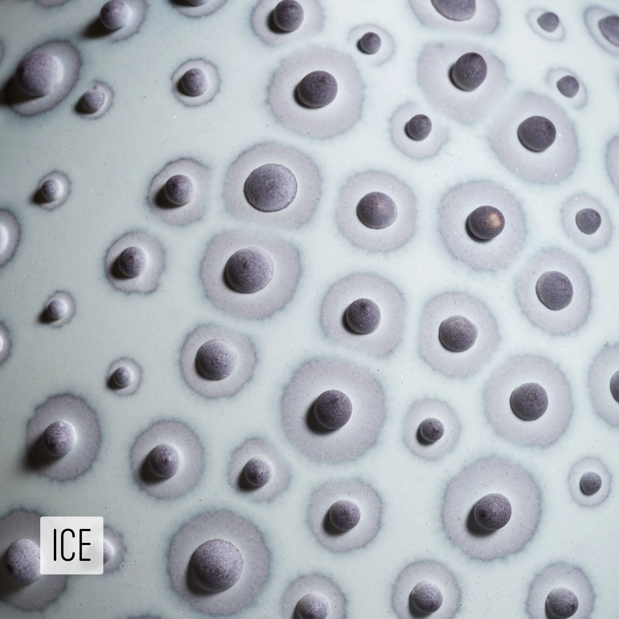 Microbe Colorway_Ice_Caption.jpg