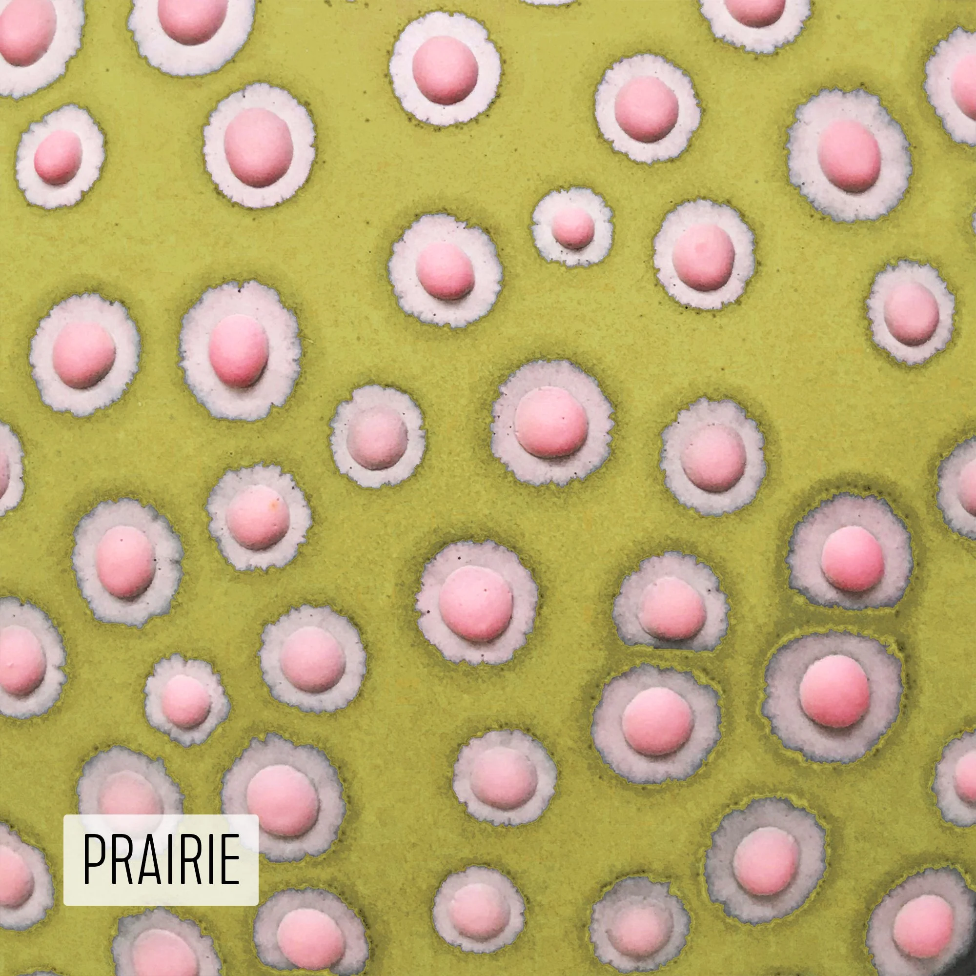 Microbe Colorway_Prairie_Caption.jpg