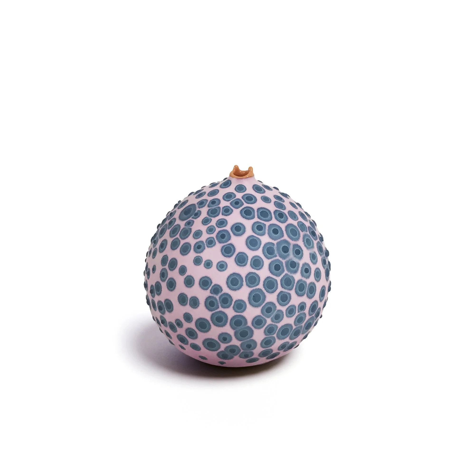 Petri_Pink and Teal_1_web.jpg
