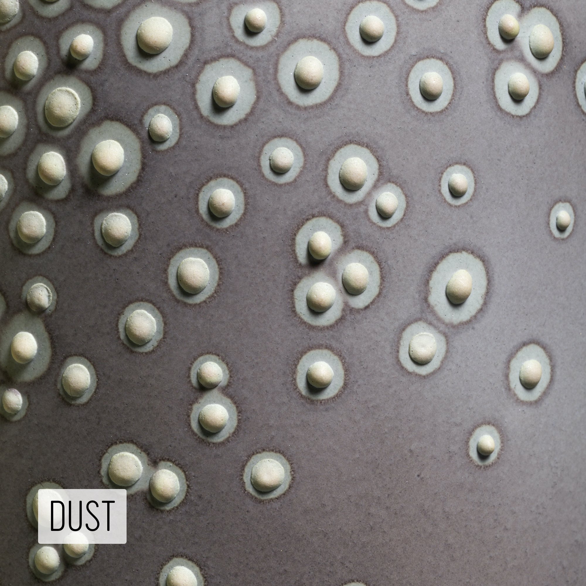 Microbe Colorway_Dust_Caption.jpg