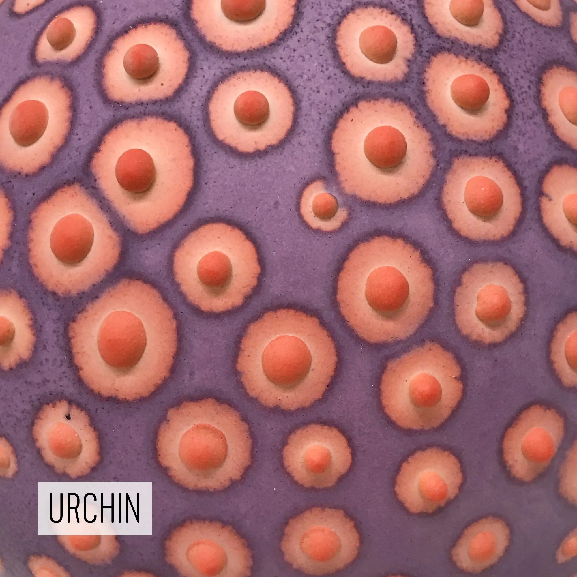 Microbe Colorway_Urchin_Caption.jpeg