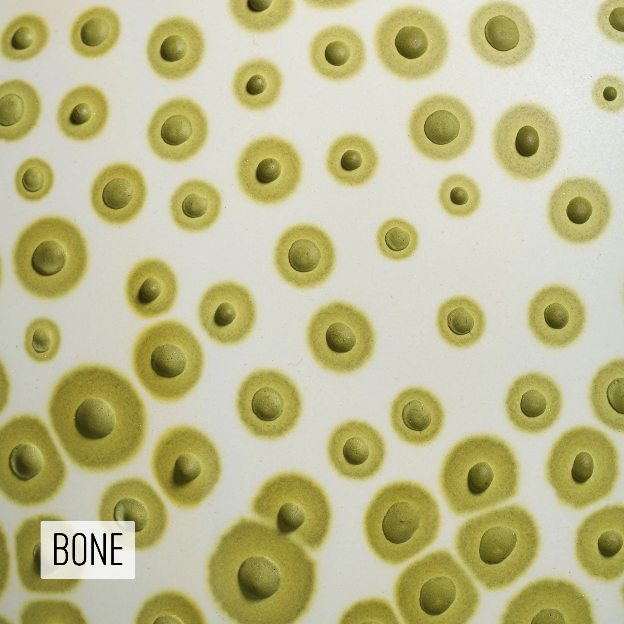 Microbe Colorway_Bone_Caption.jpeg