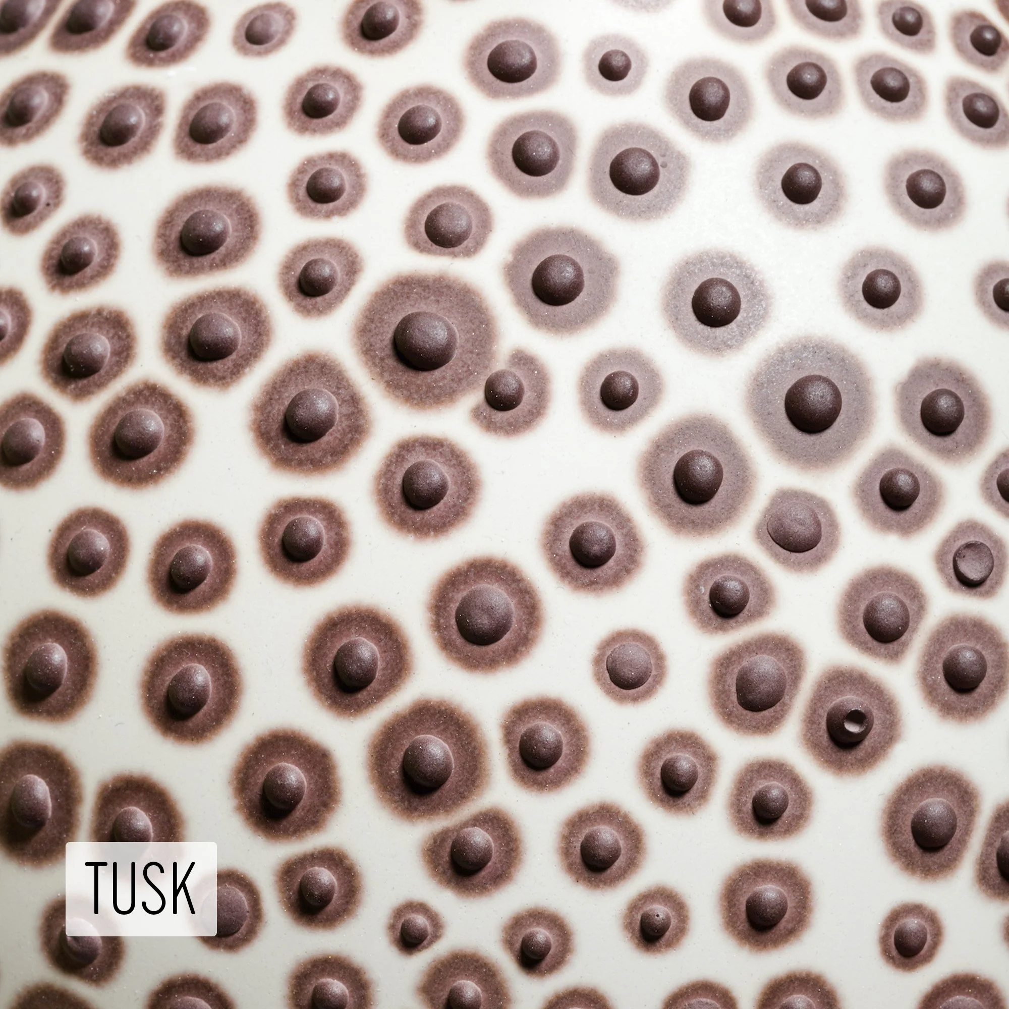 Microbe Colorway_Tusk_Caption.jpeg