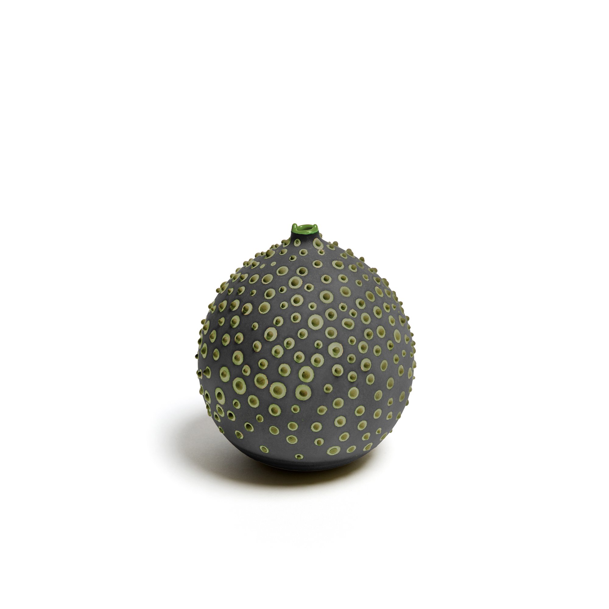 Petri_Oakmoss_1_web.jpg