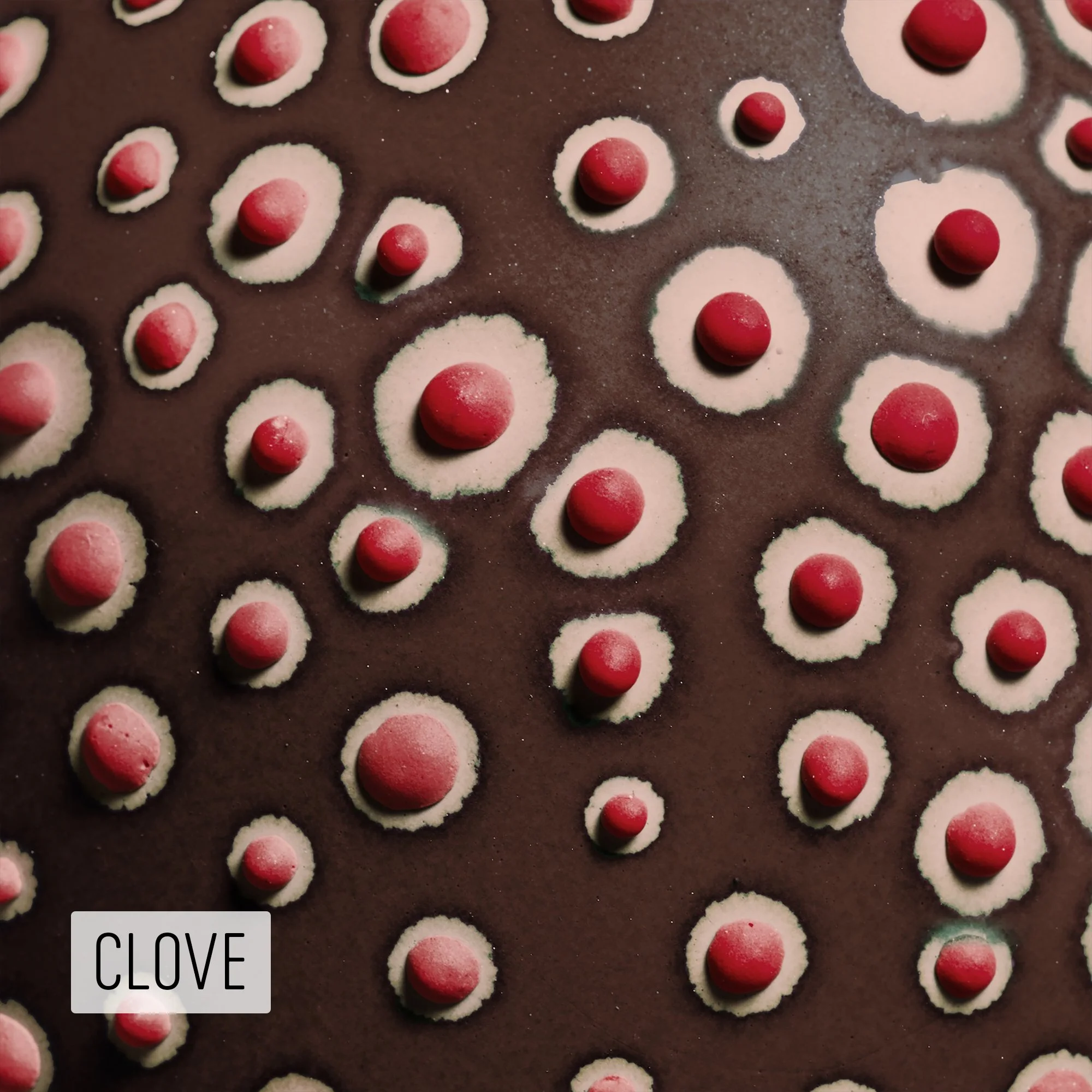 Microbe Colorway_Clove_Caption.jpeg