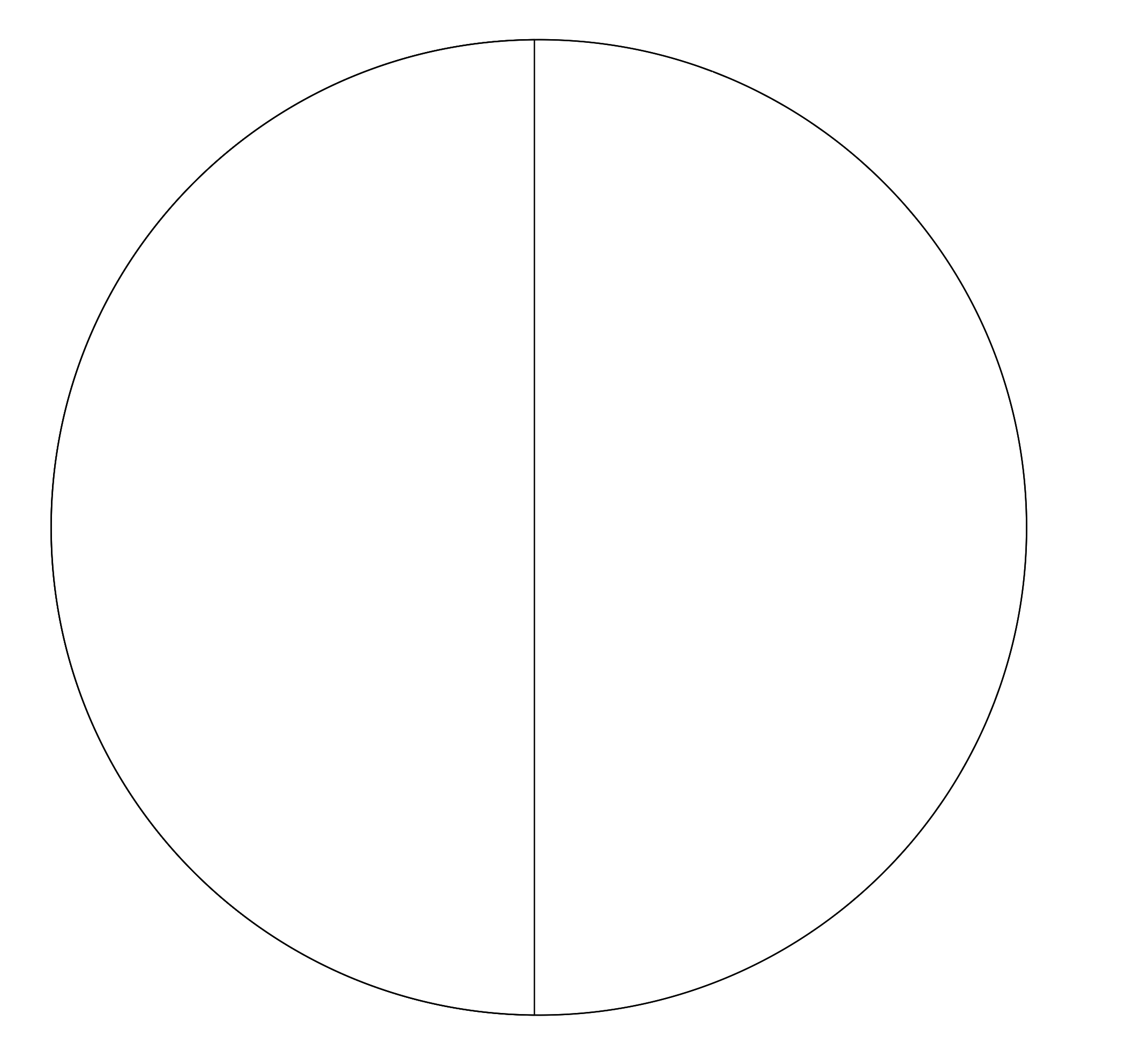 Round Equinox Mirror