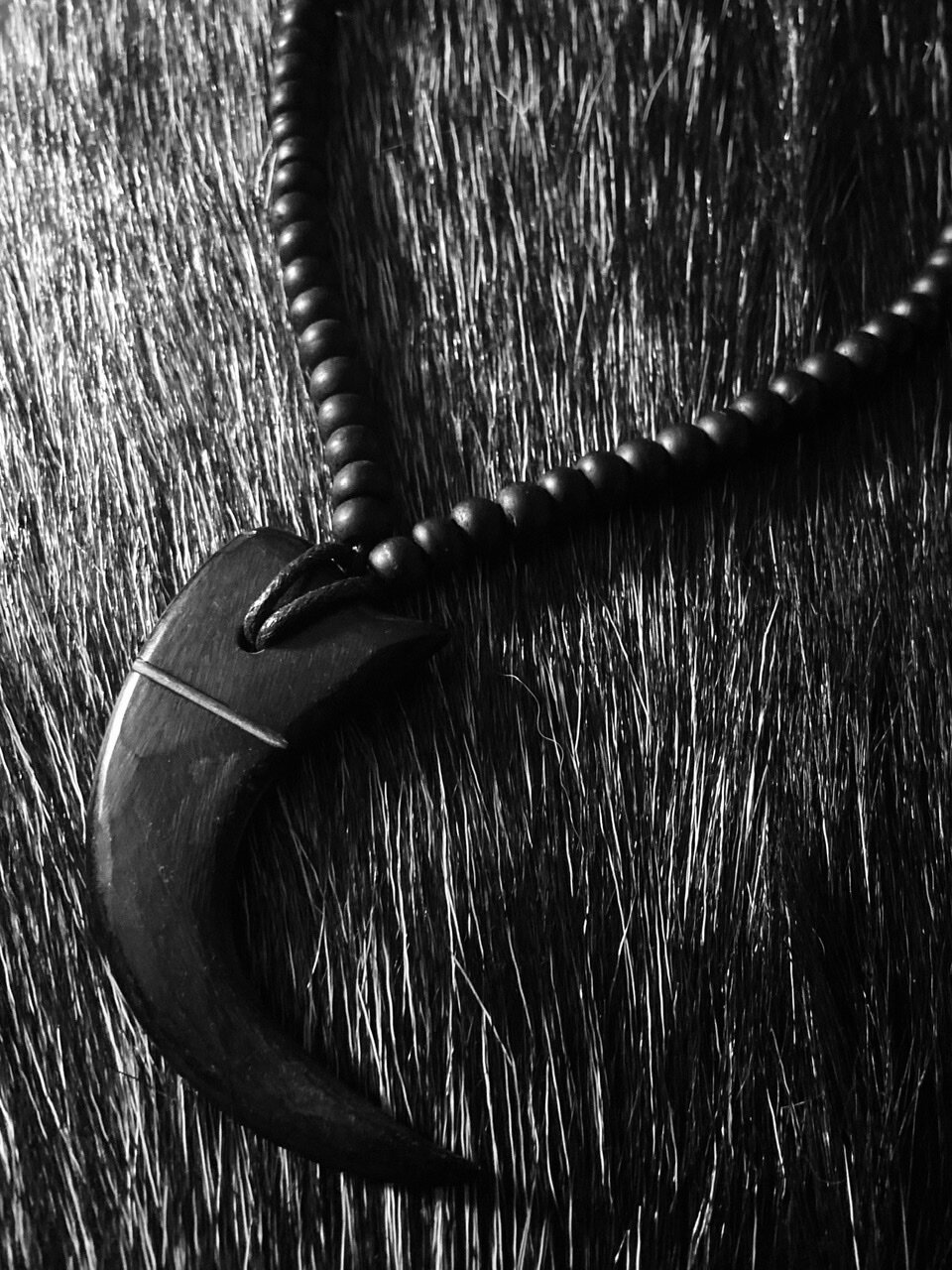 Power claw necklace I