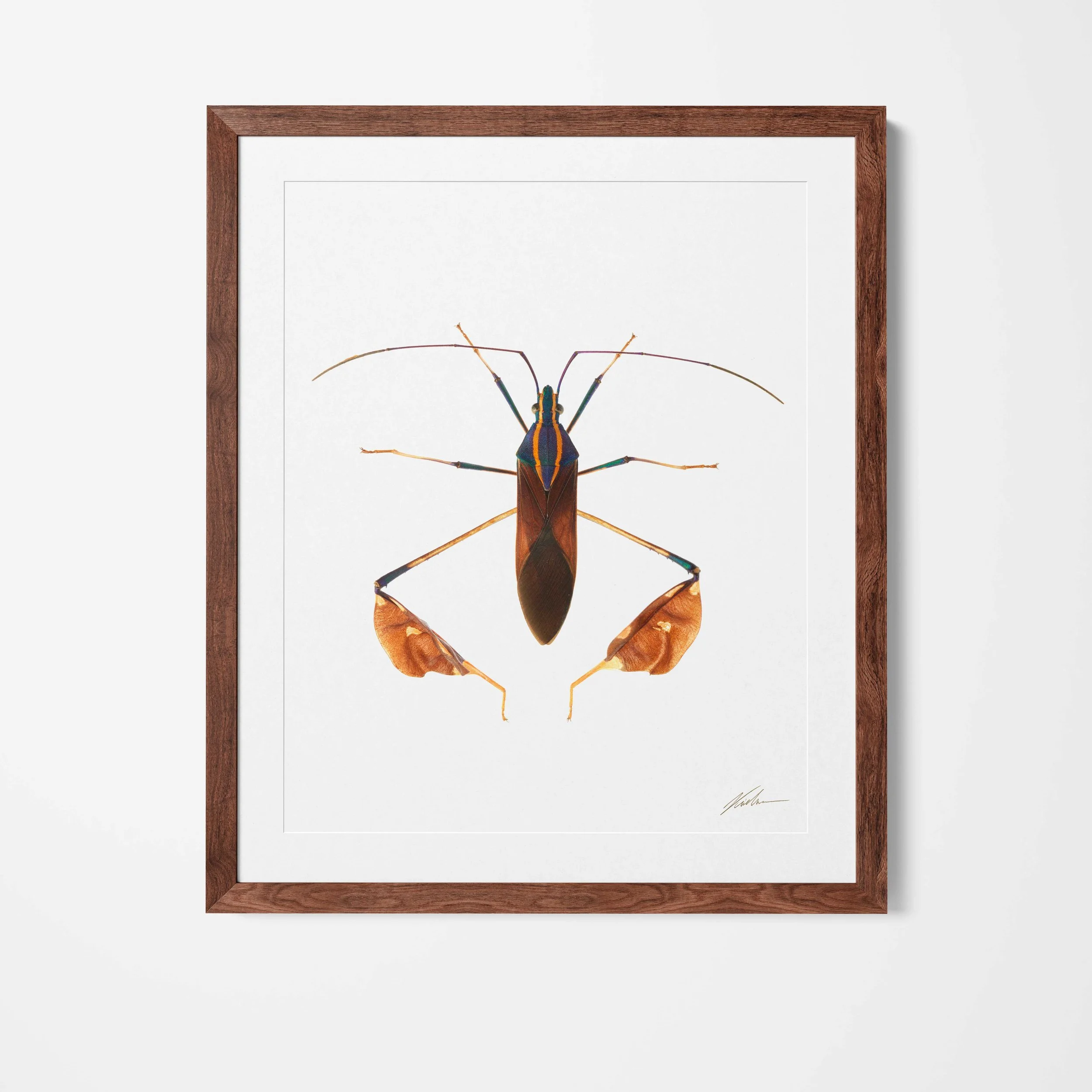 Framed.jpg