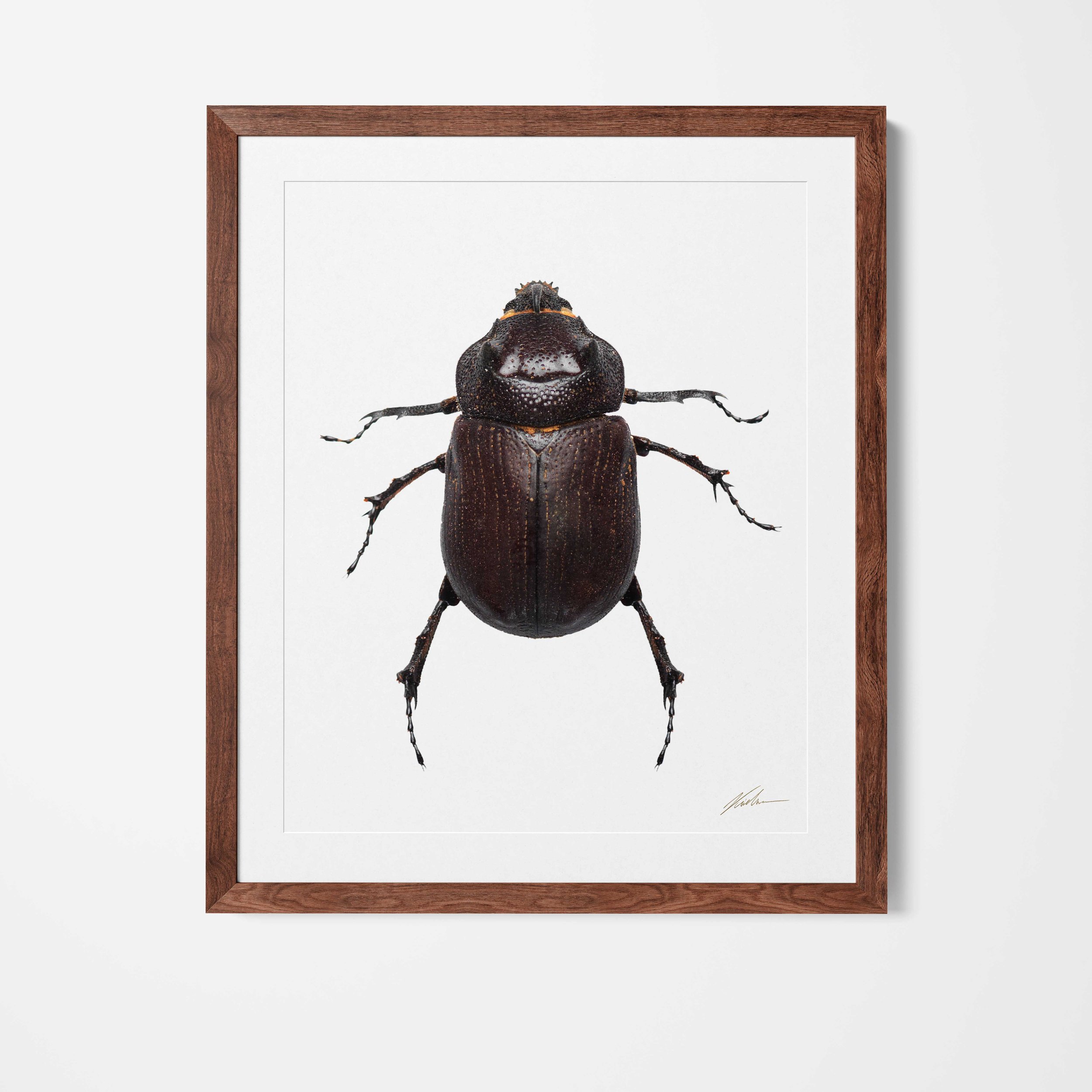 Framed.jpg