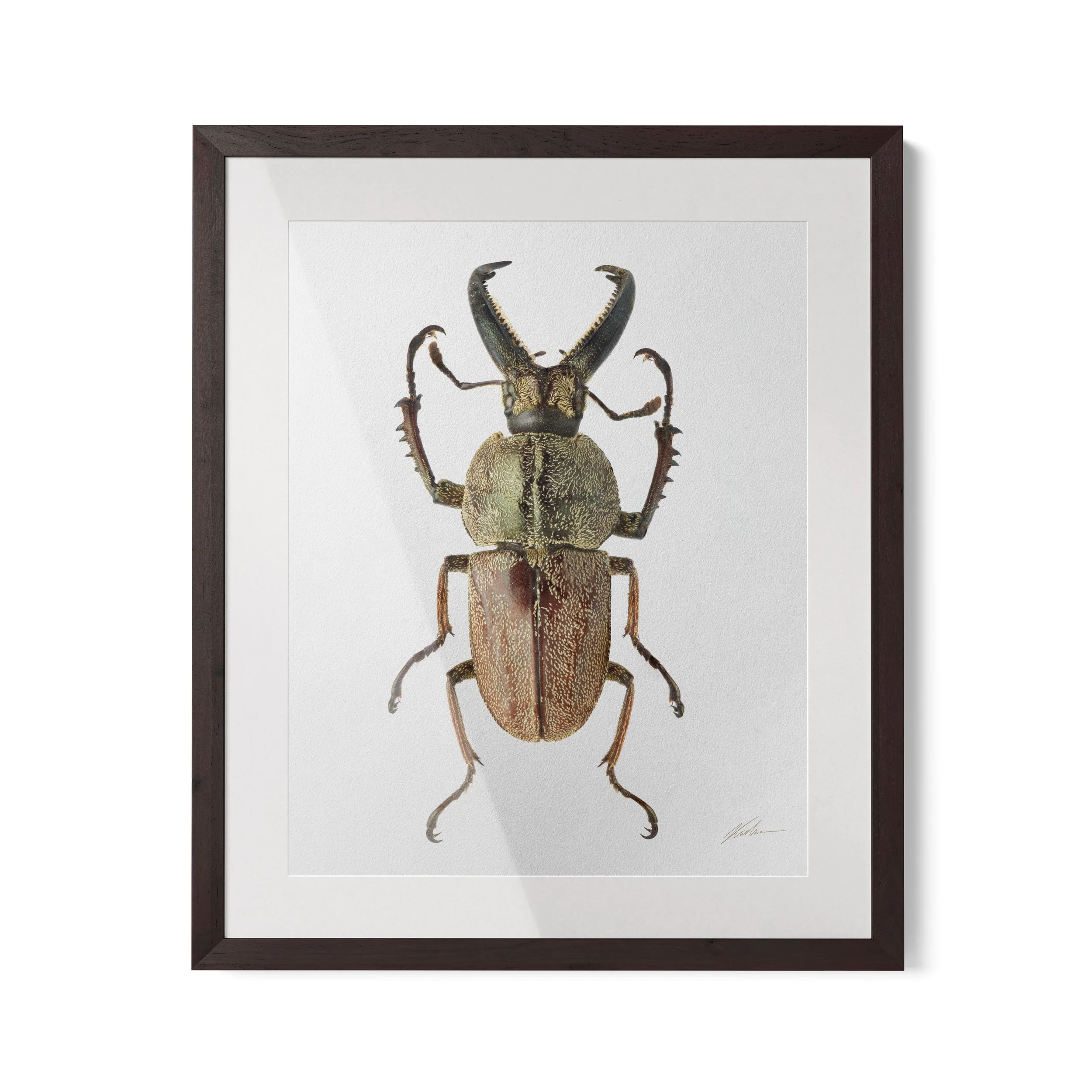 No ID | São Paulo, Brasil 2022