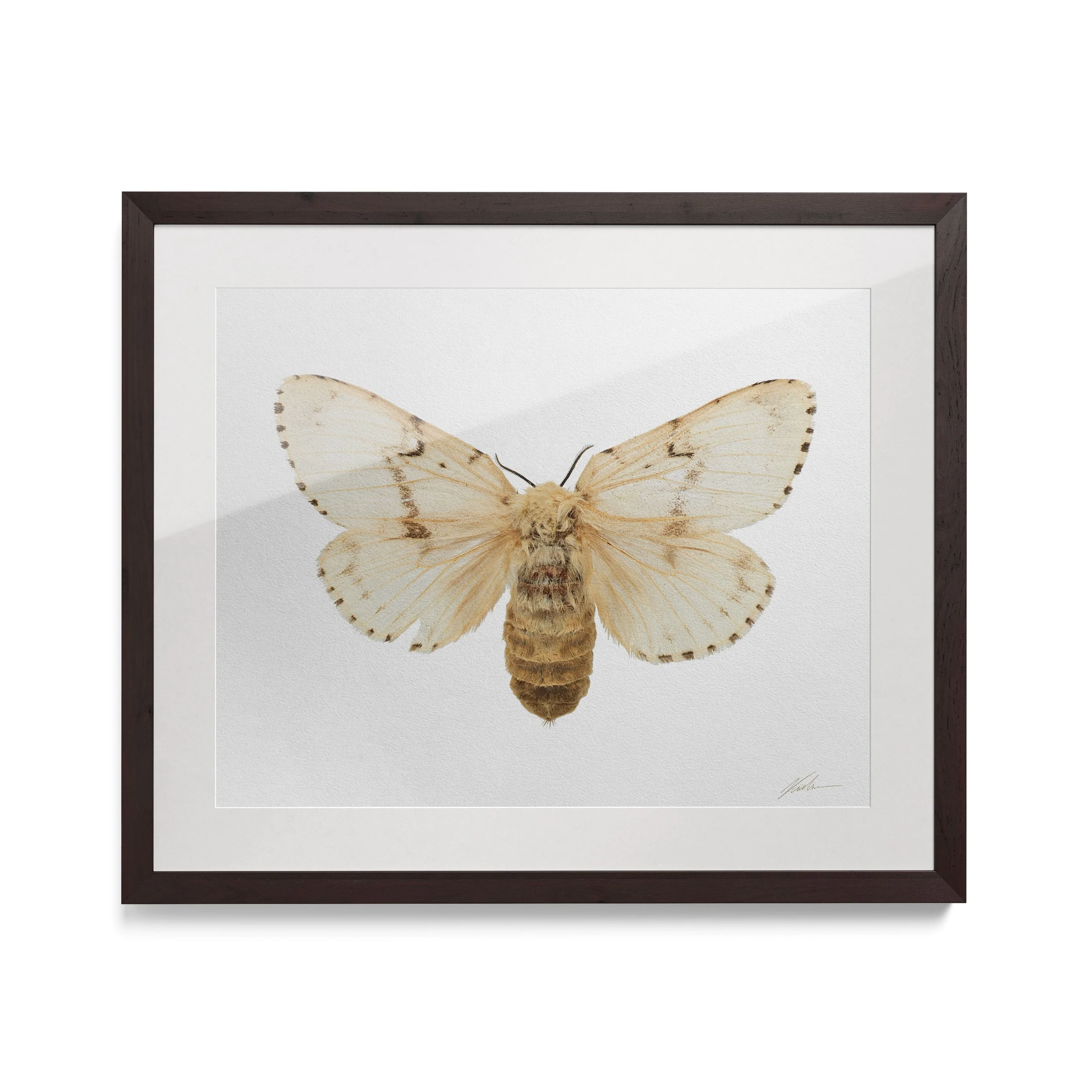 No ID | Liege, Bélgica, 2015