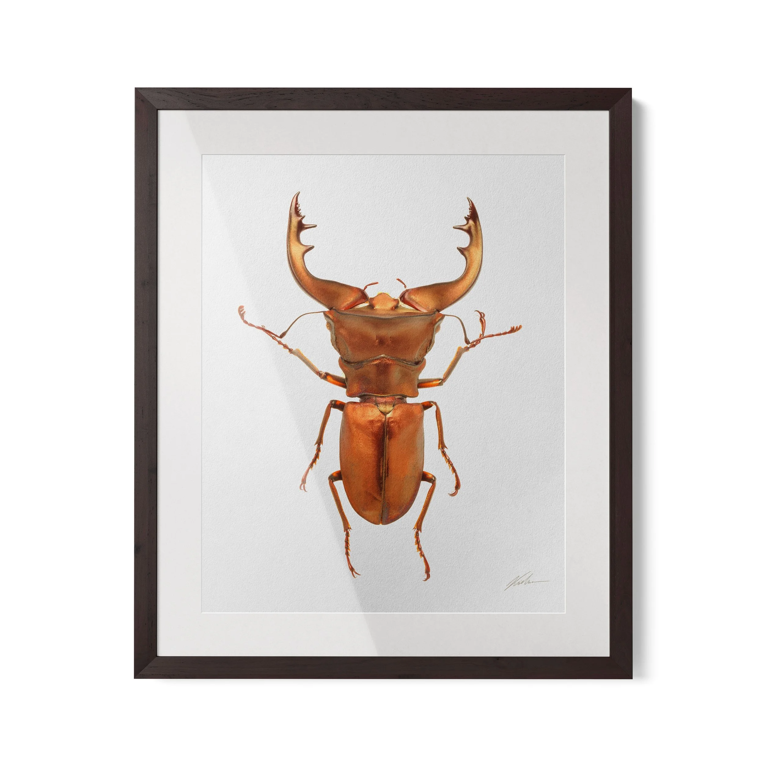 No id | São Paulo, Brasil 2022