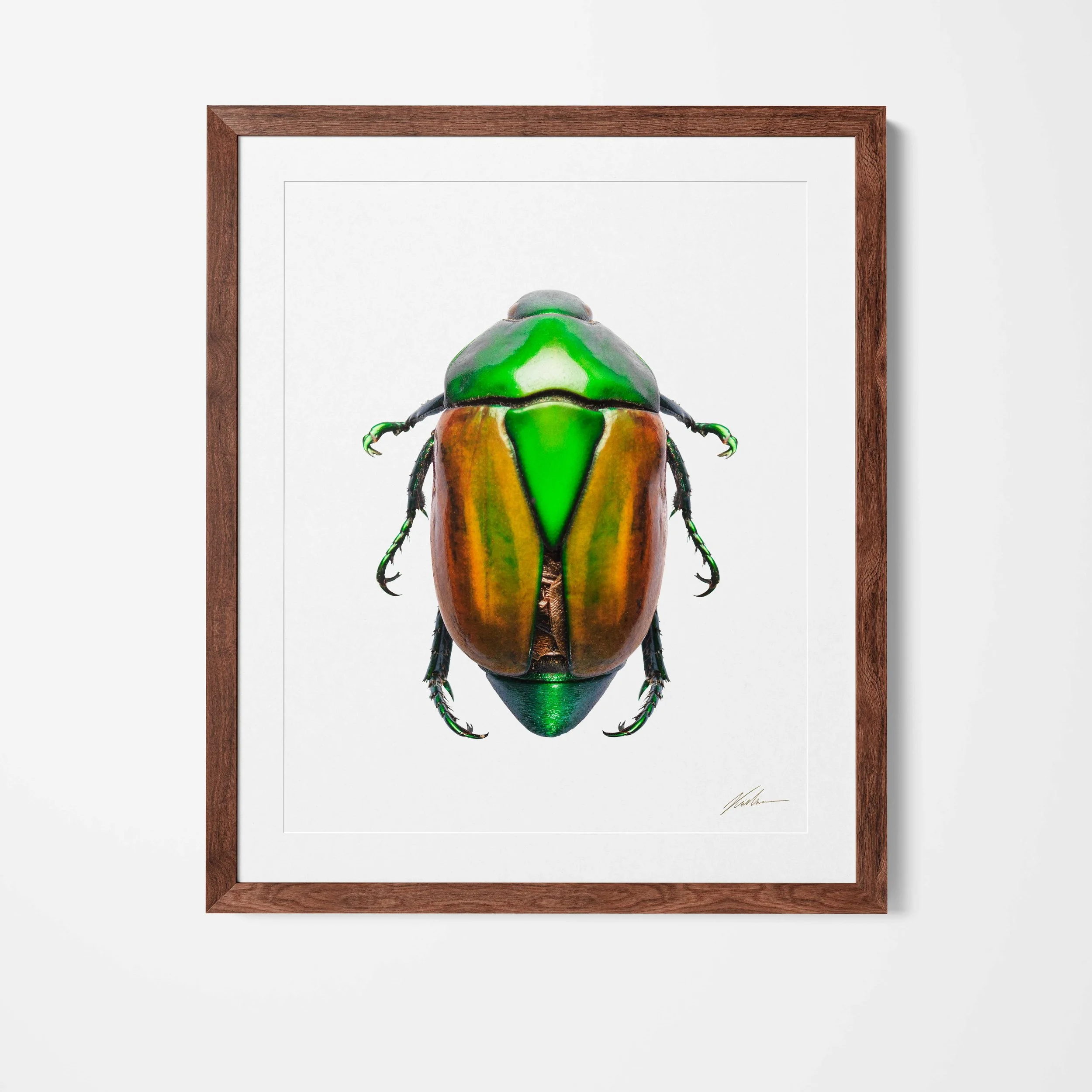 Framed.jpg