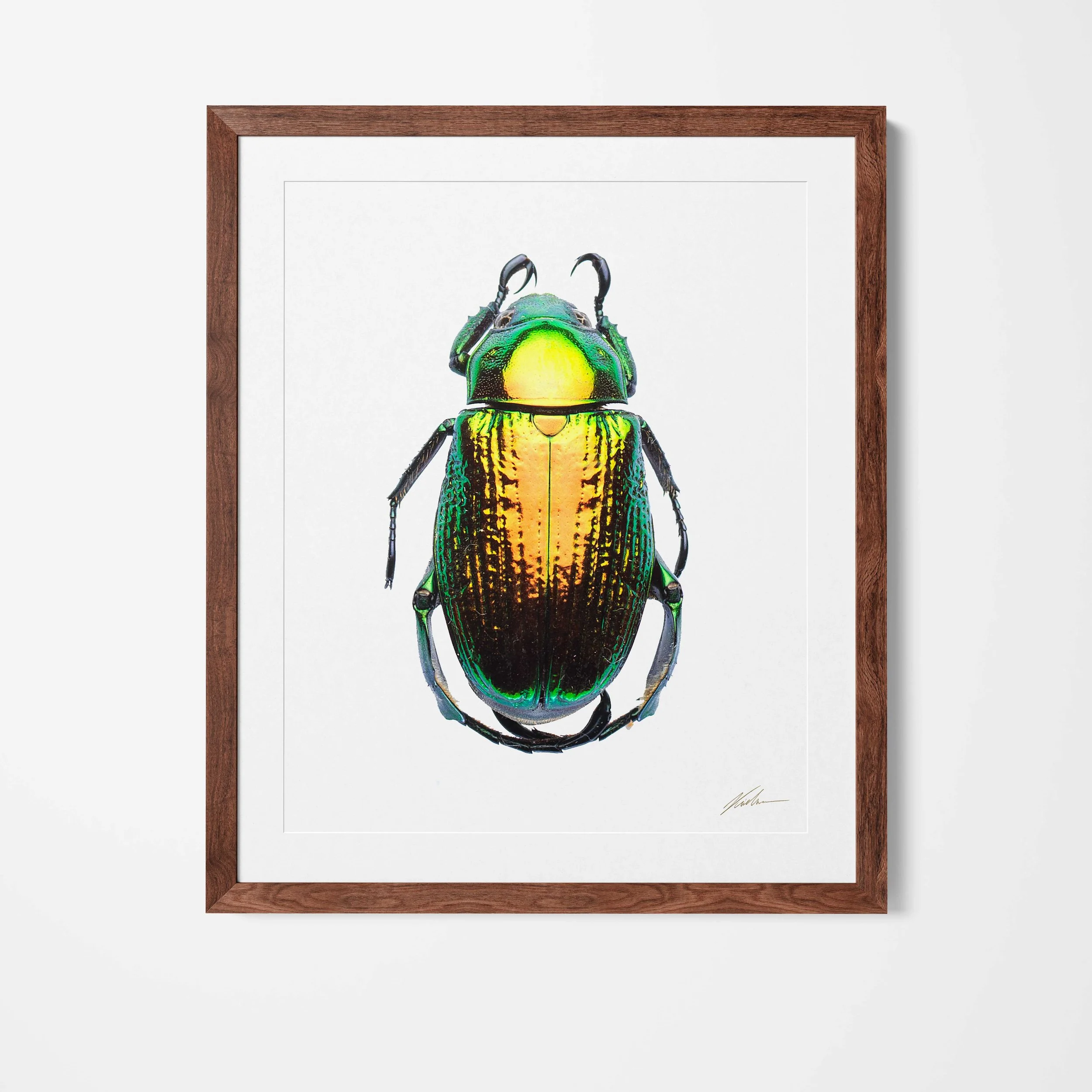 Framed.jpg