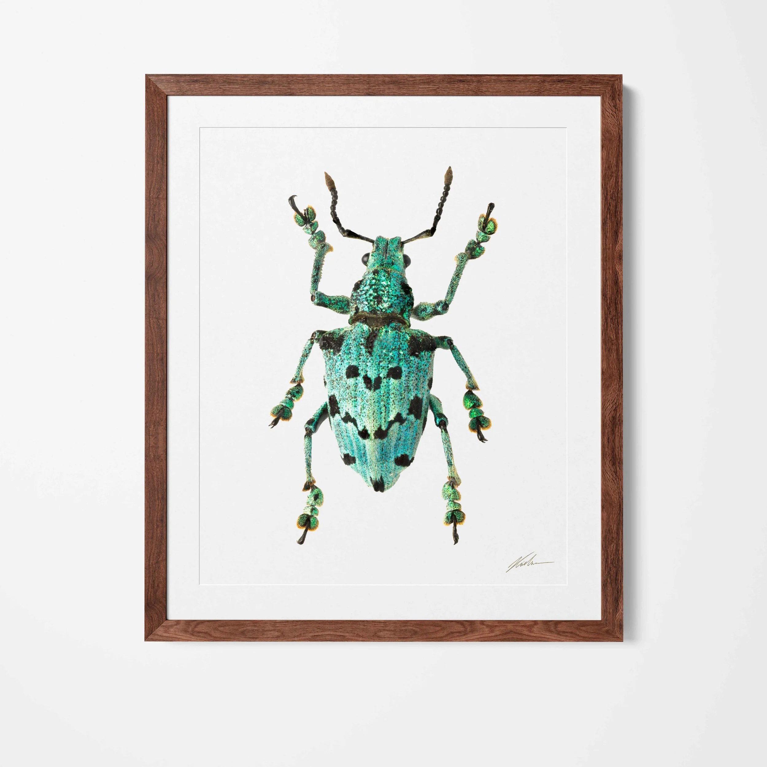 Framed_21.jpg