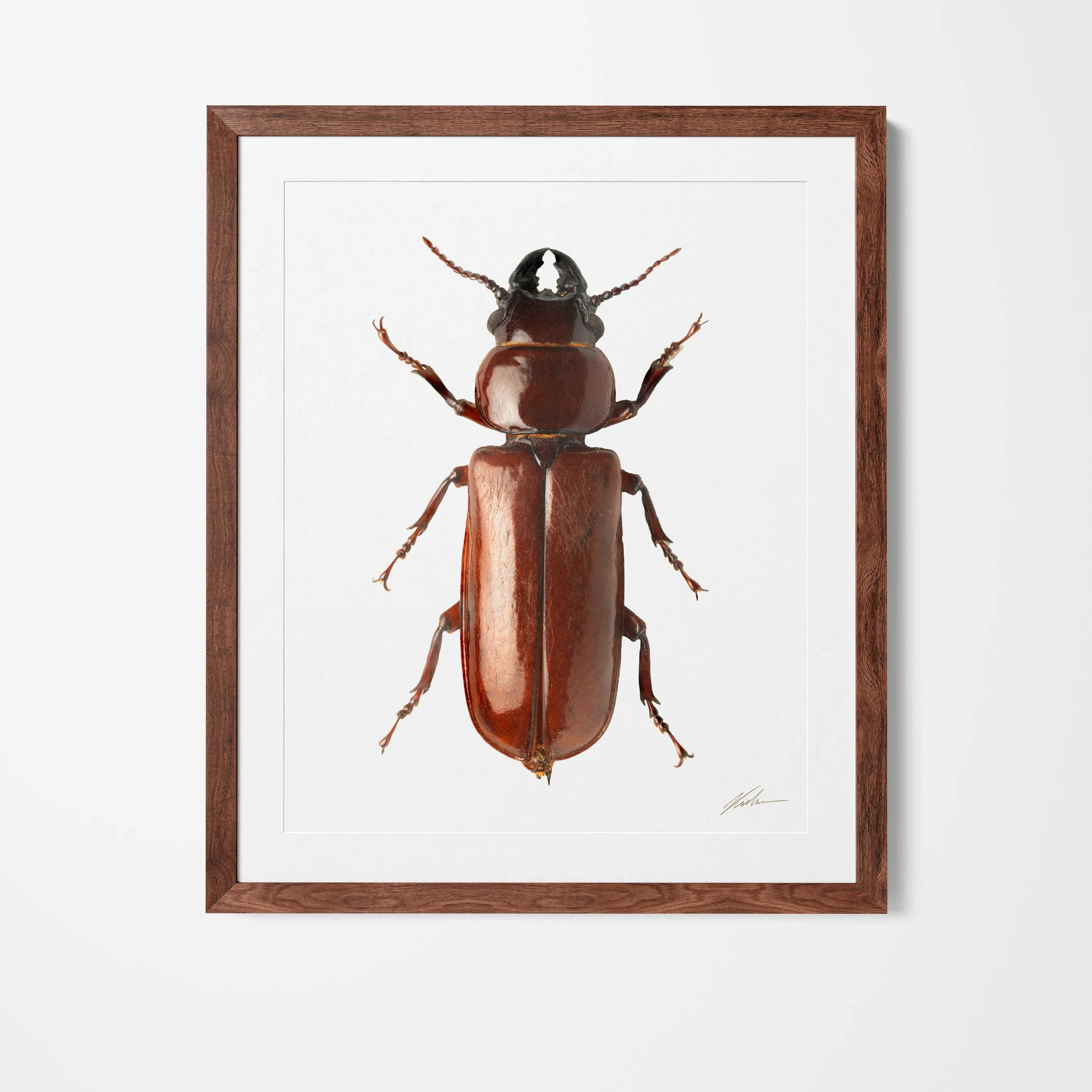 framed28.jpg