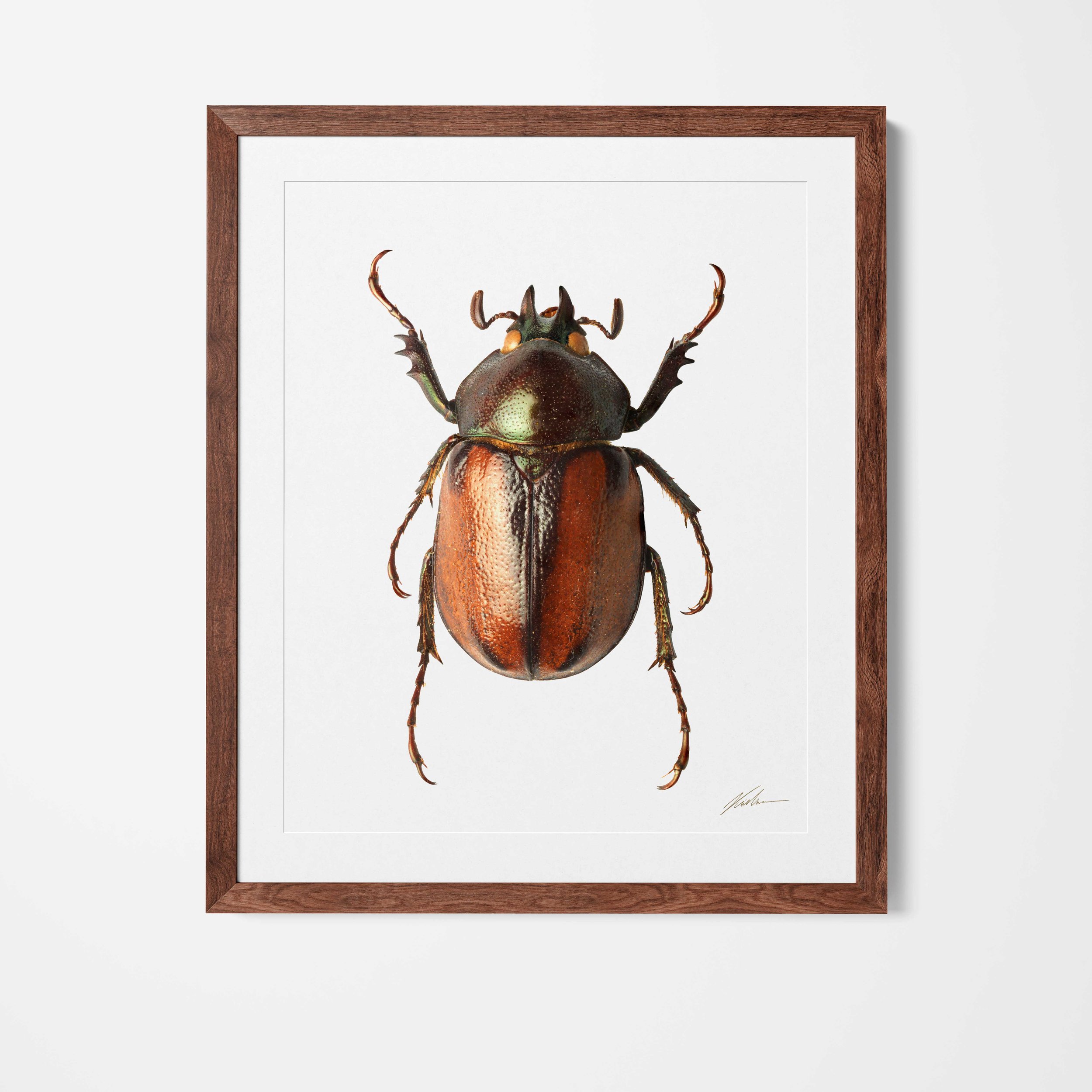 Framed29.jpg