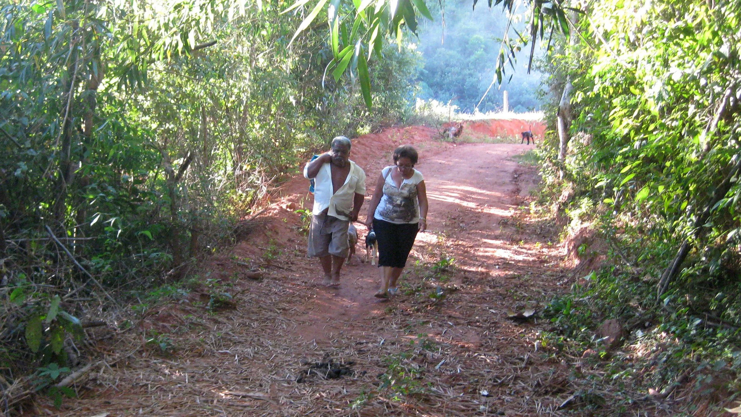 Homens e mulher caminhando por trilha em floresta, cercados de vegetação densa.