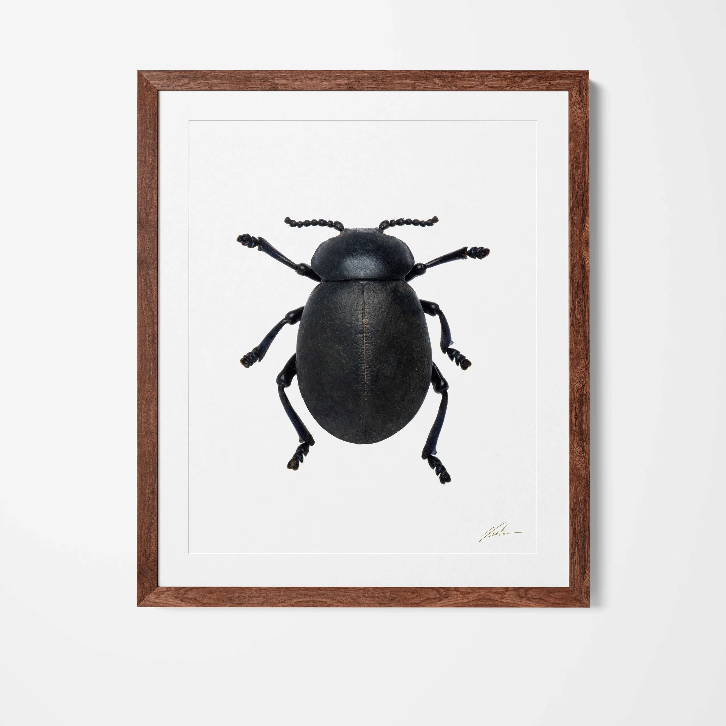 framed.jpg